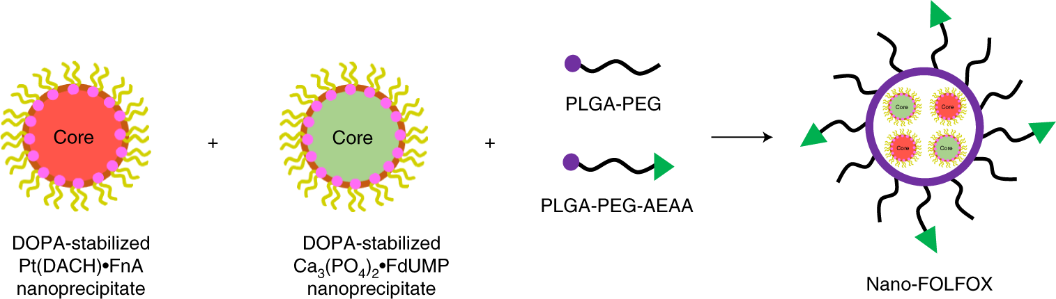 Fig. 7: The concept of Nano-FOLFOX.