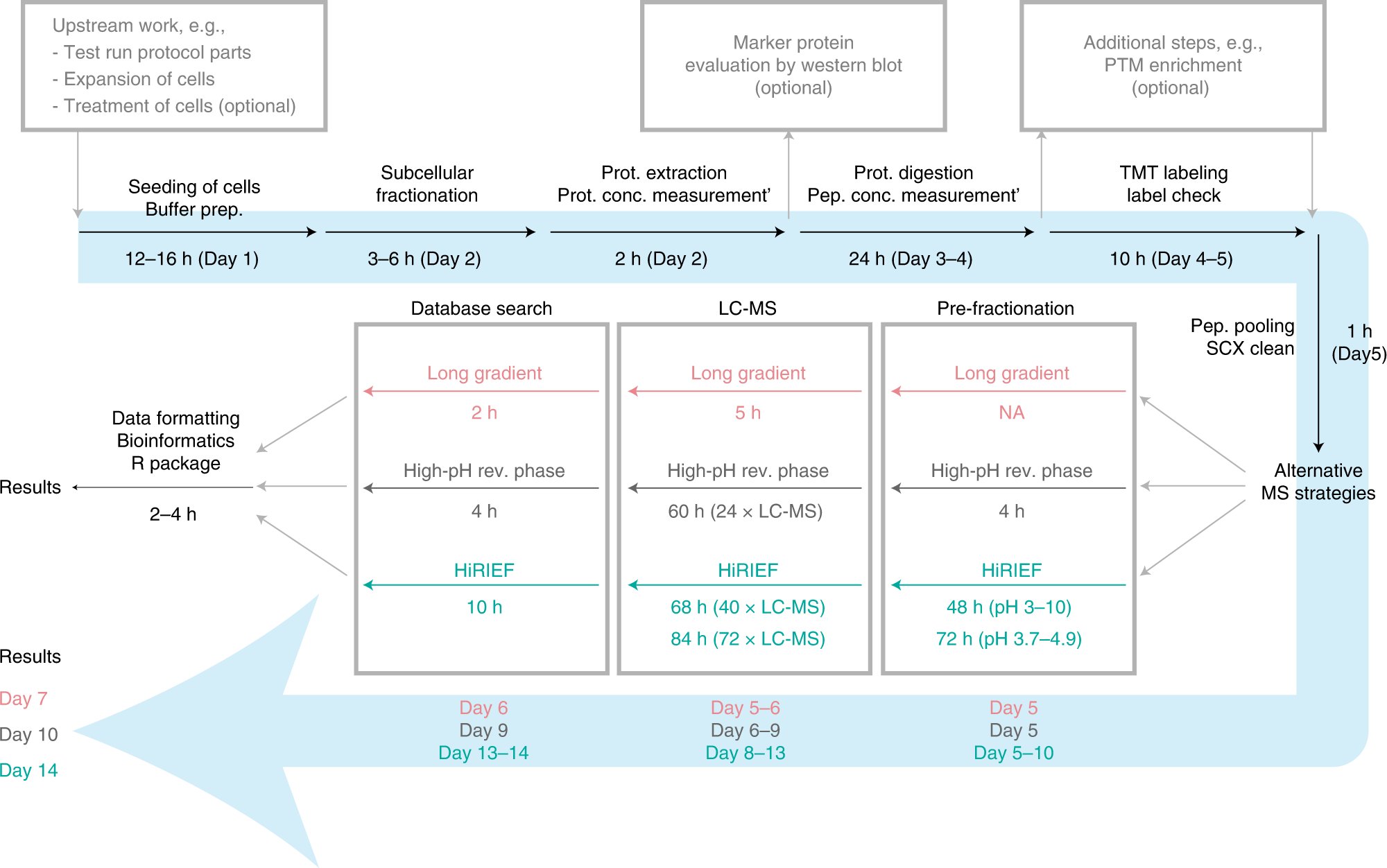Fig. 2: Overview of the protocol with timing of different parts indicated.