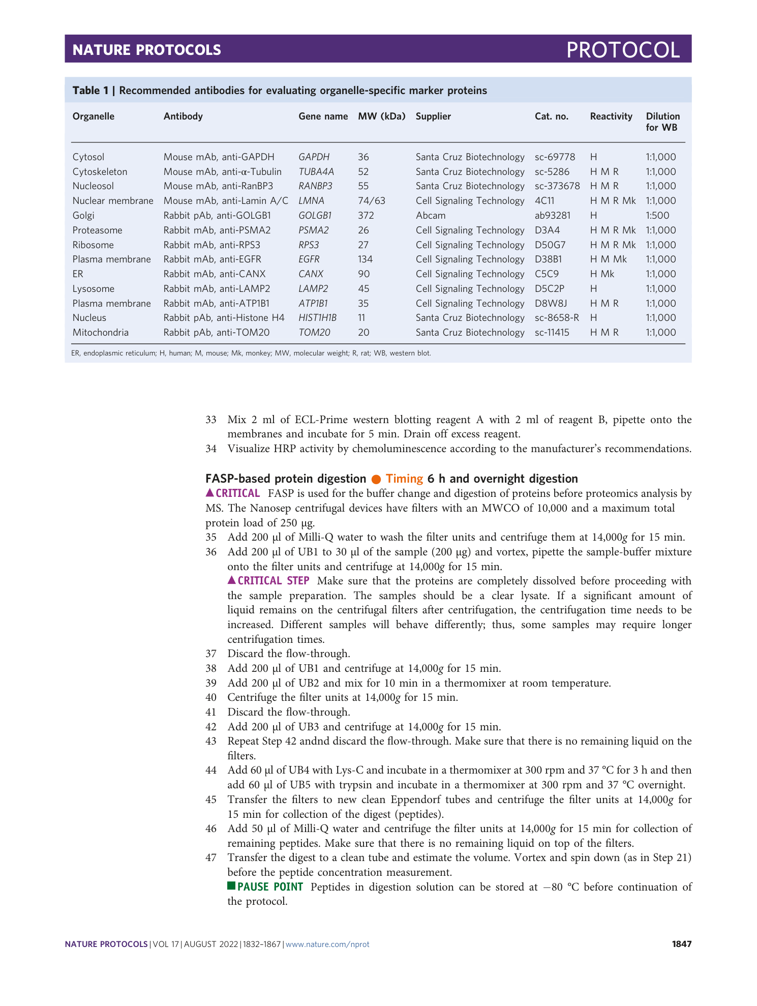 page-16