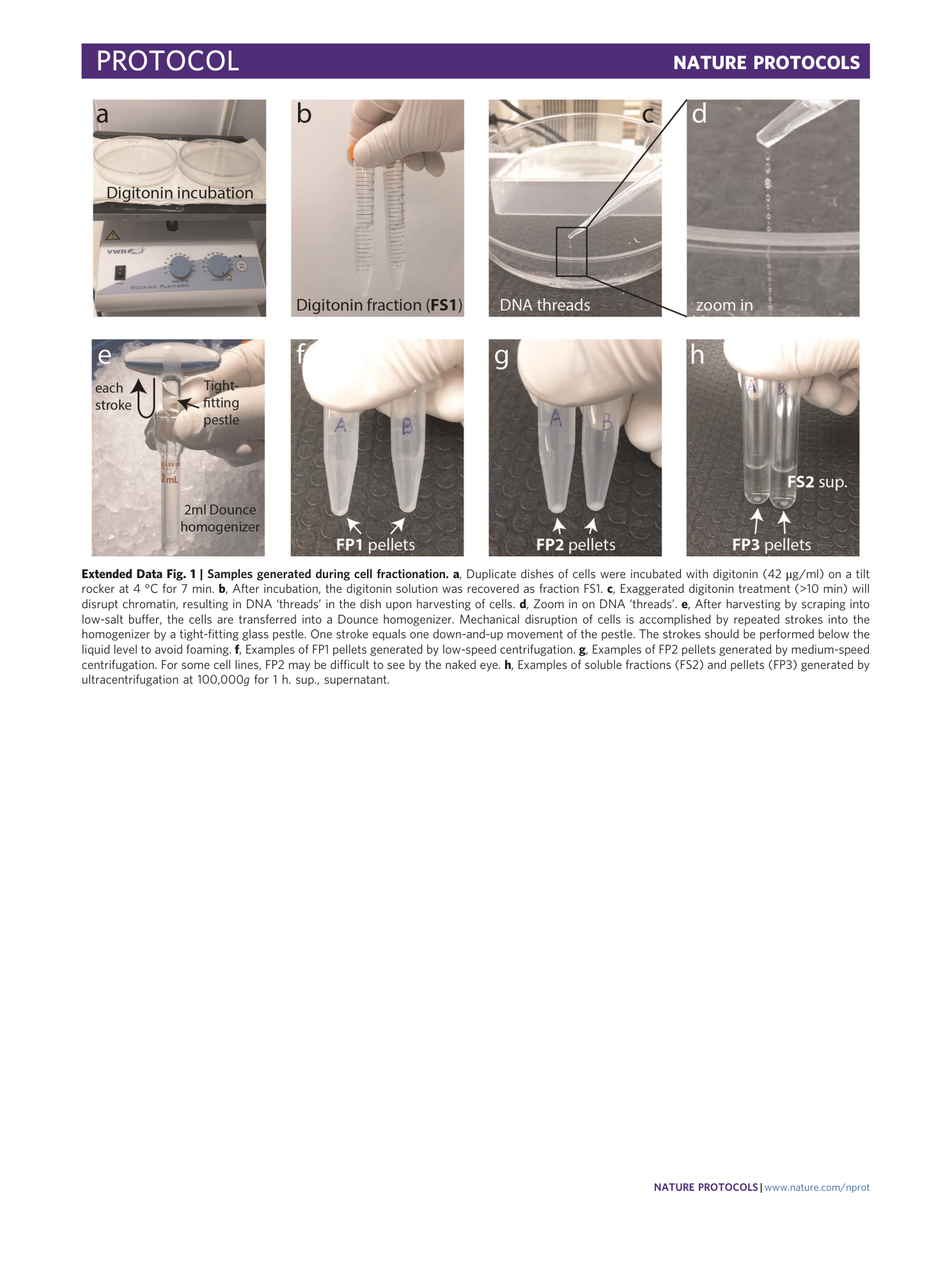page-37