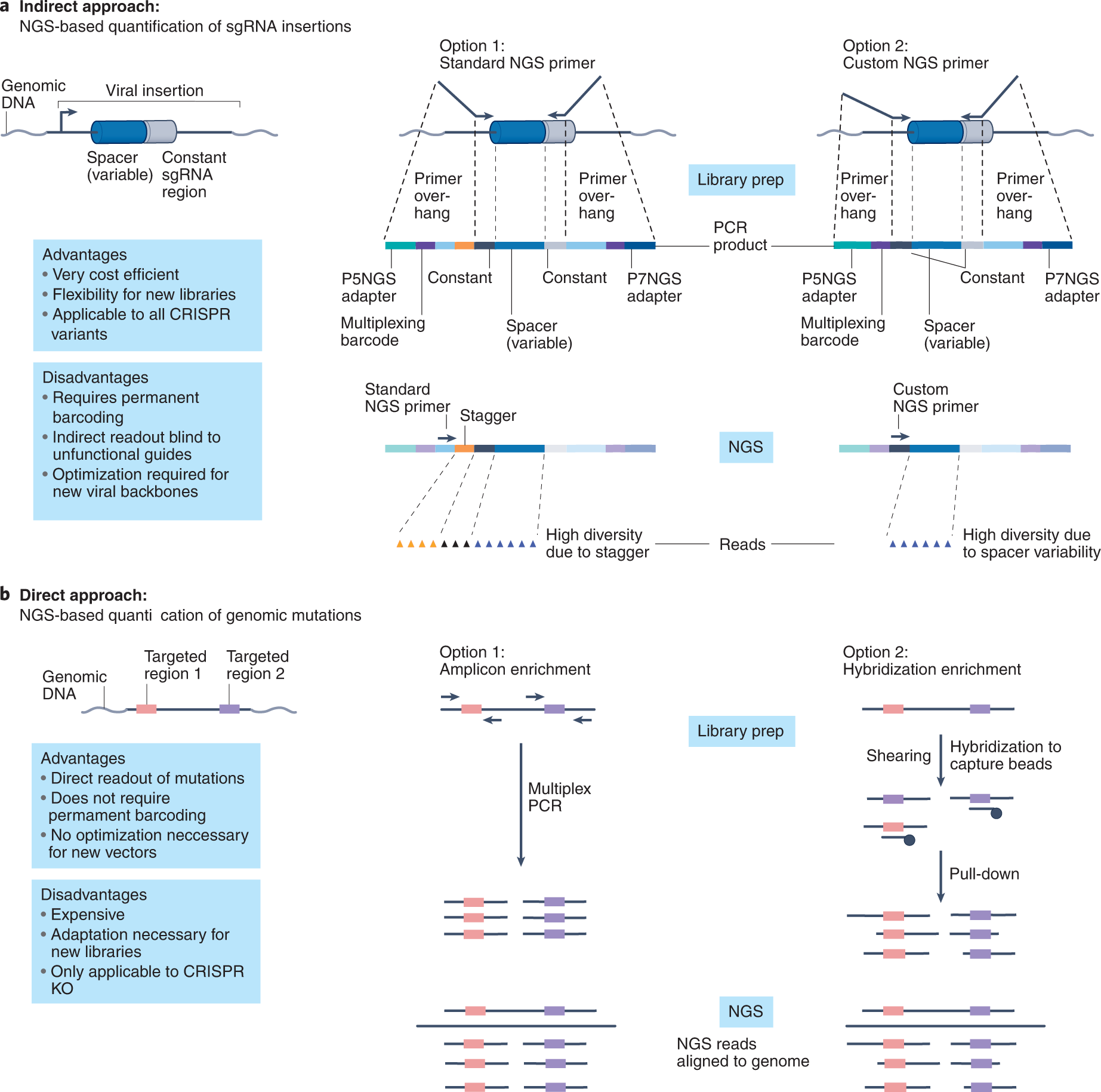Fig. 8: NGS-based strategies for the analysis of pooled in vivo CRISPR screens.