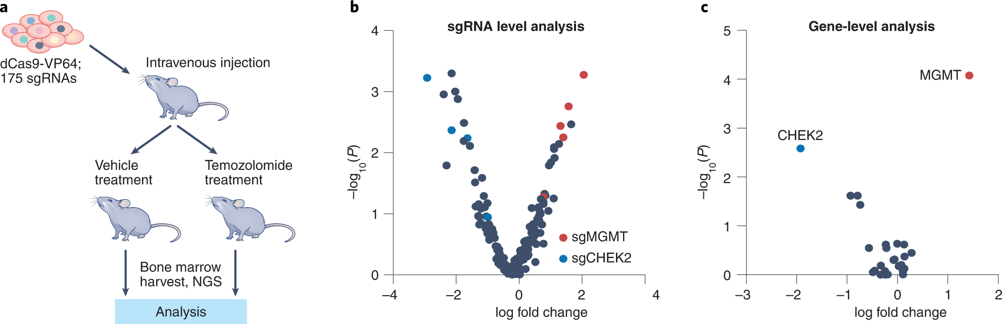 Fig. 9: Exemplary results: Transplantation-based CRISPRa screen for genetic mediators of bone marrow relapse in leukemia.