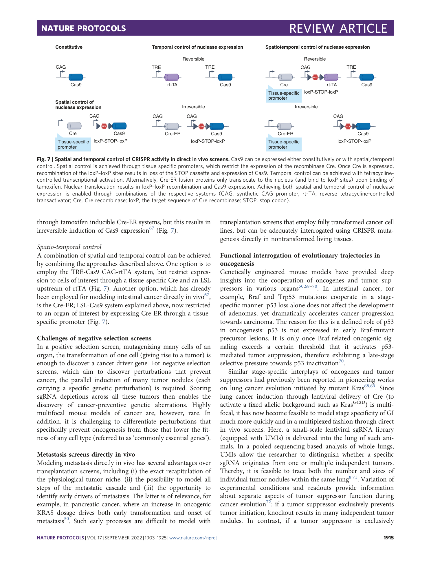 page-13
