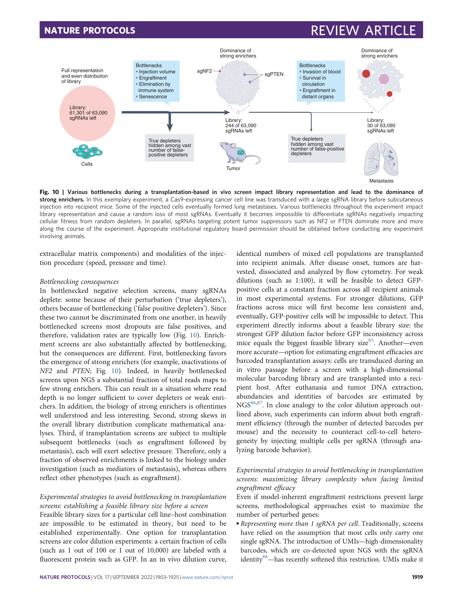 page-17
