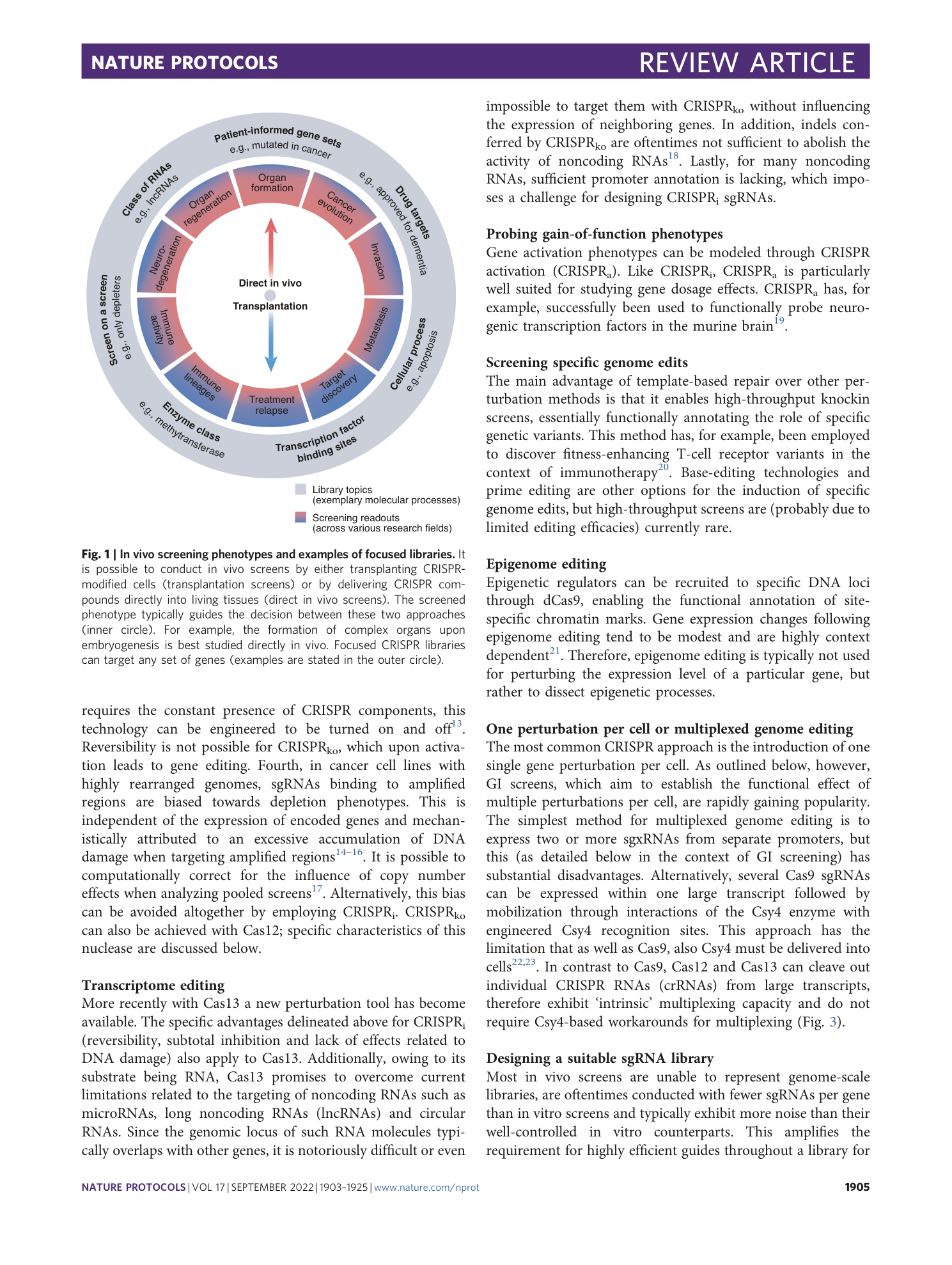 page-3