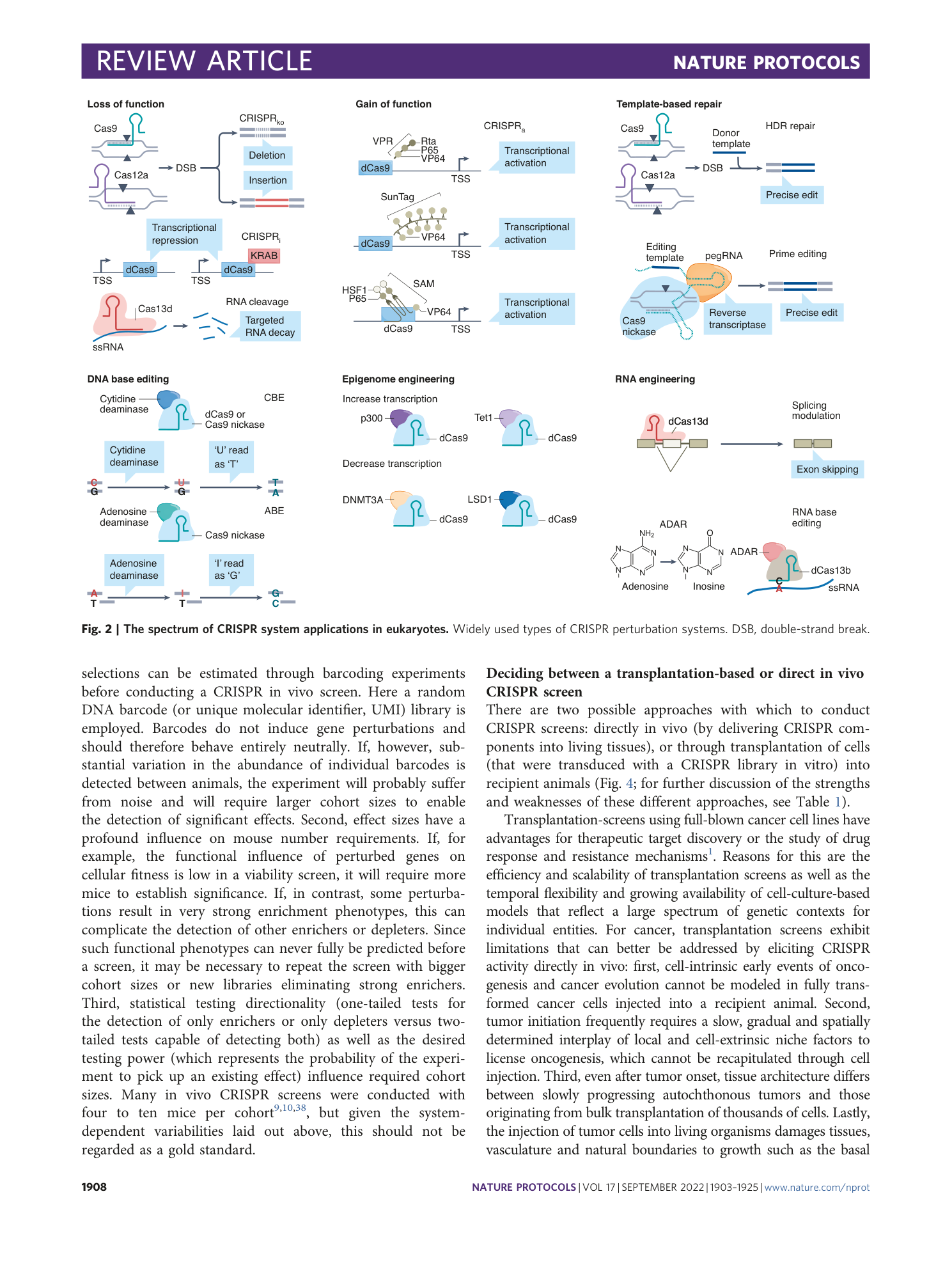 page-6