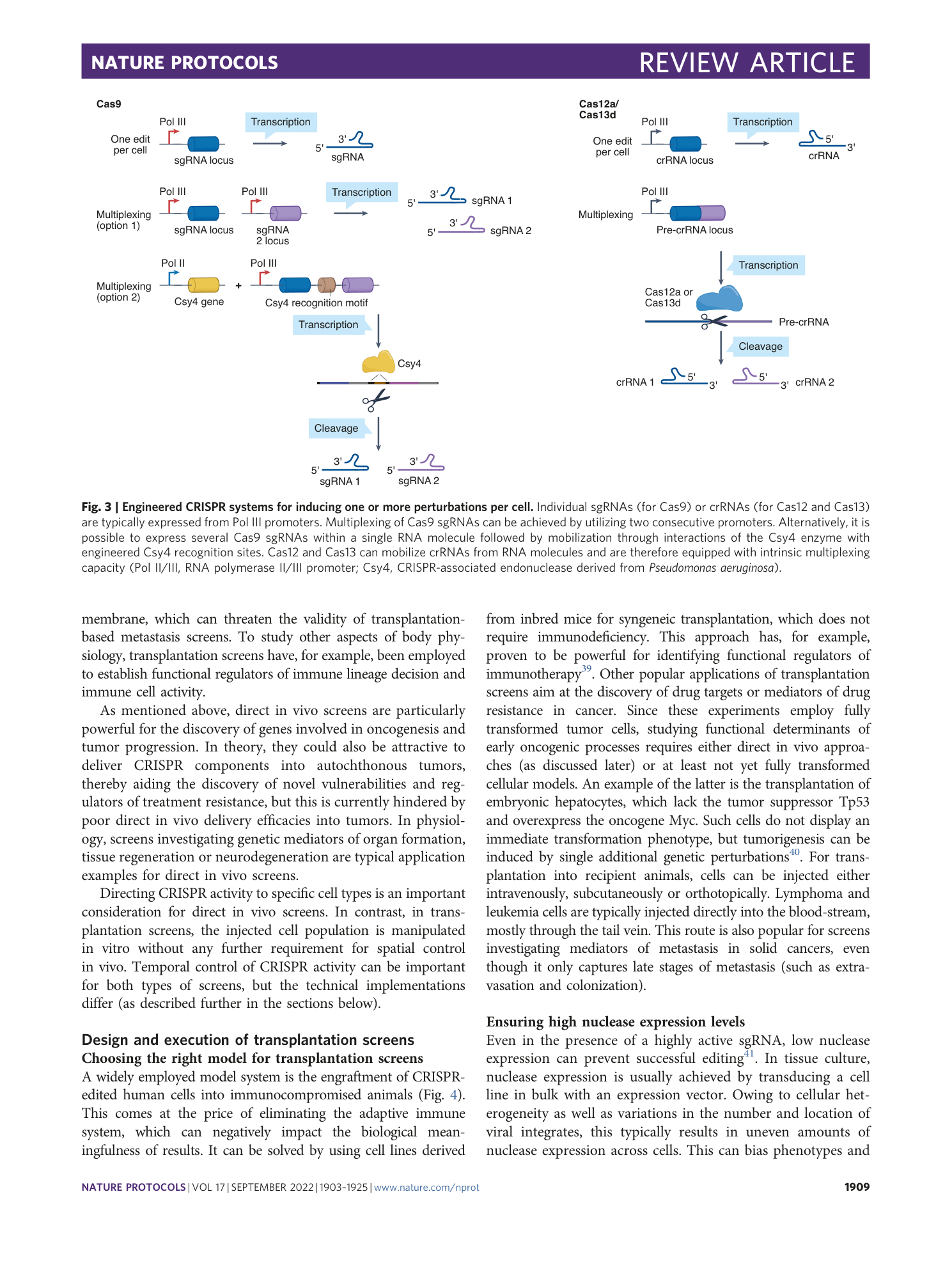 page-7