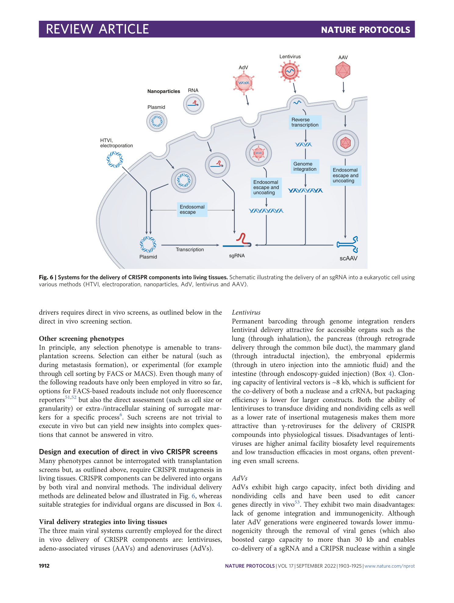 page-10