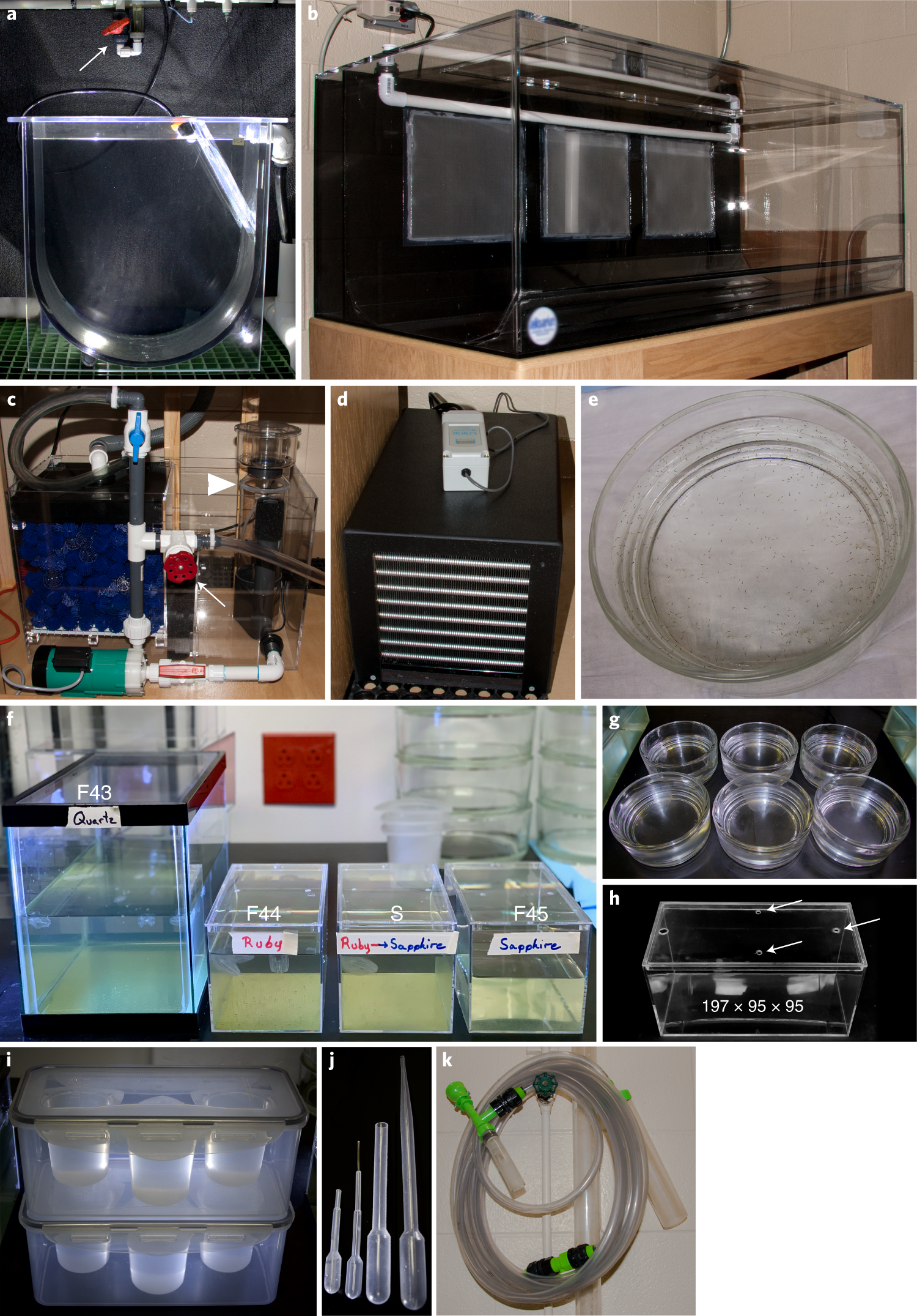 Fig. 2: Equipment used for housing, feeding, spawning and general tank maintenance.