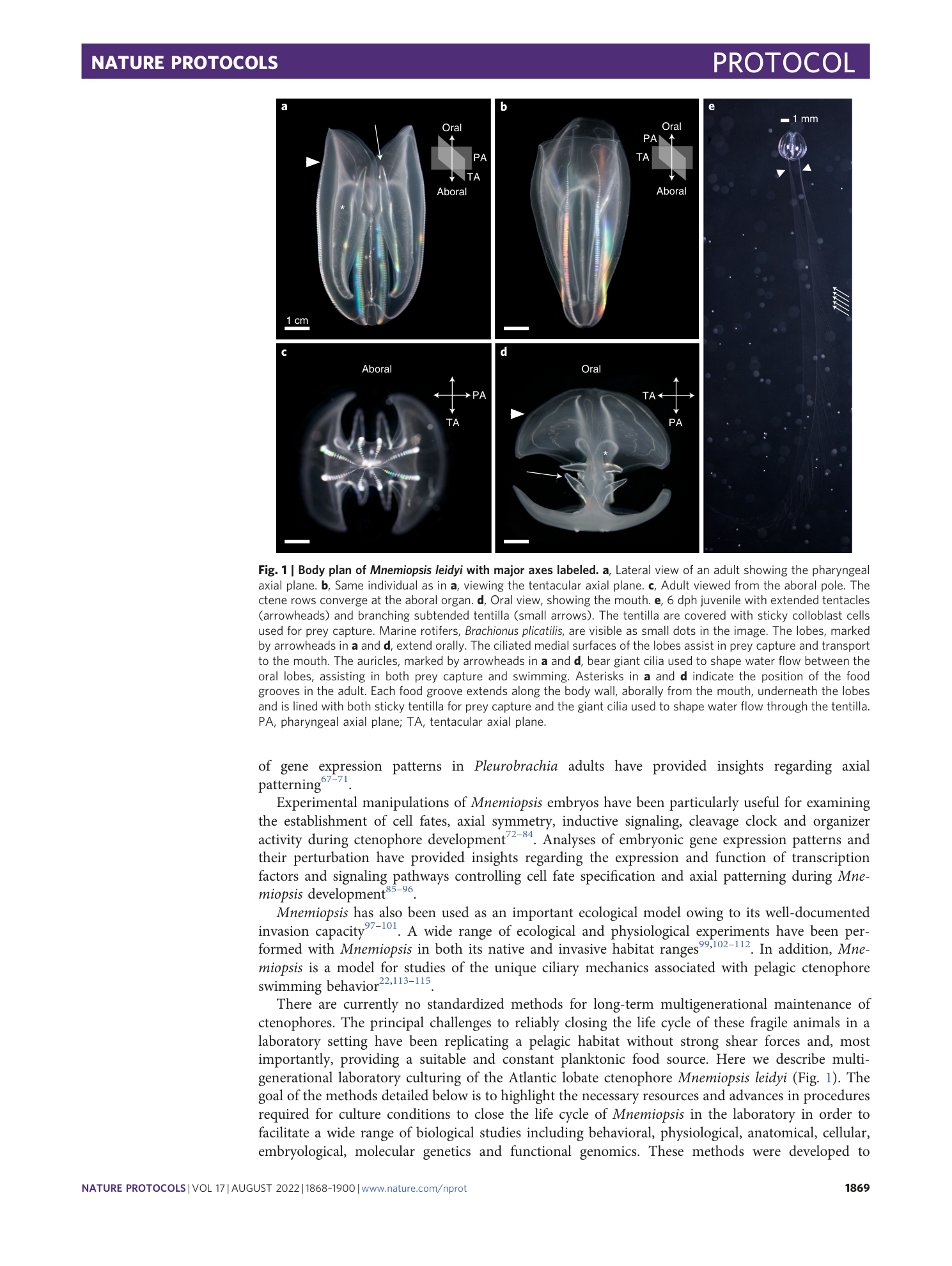 page-2