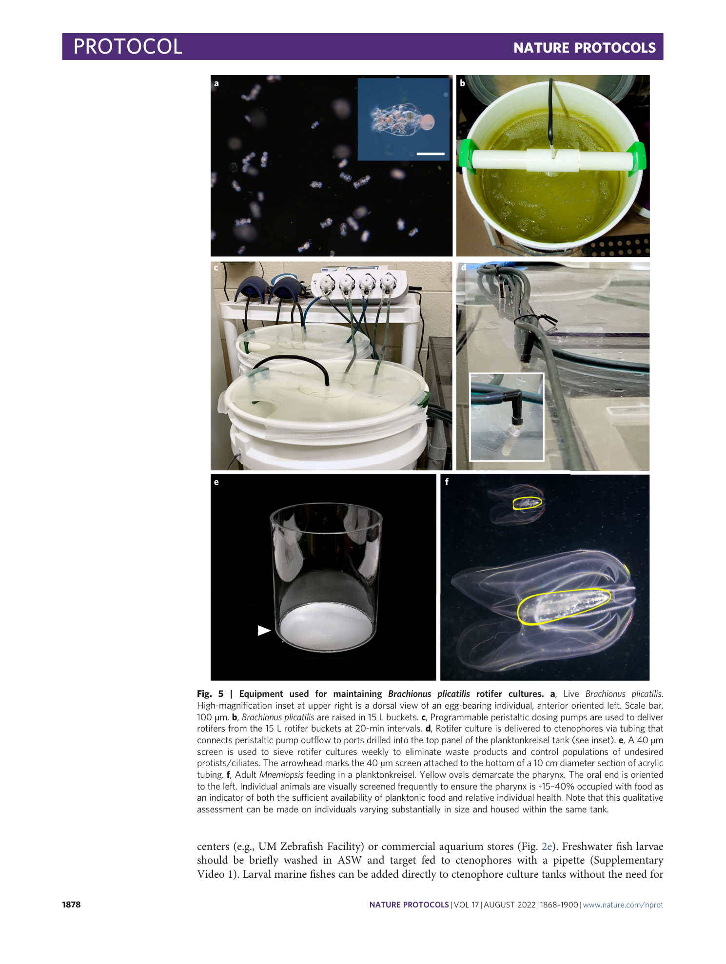 page-11