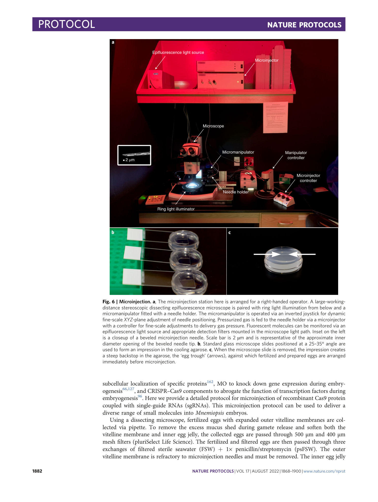 page-15