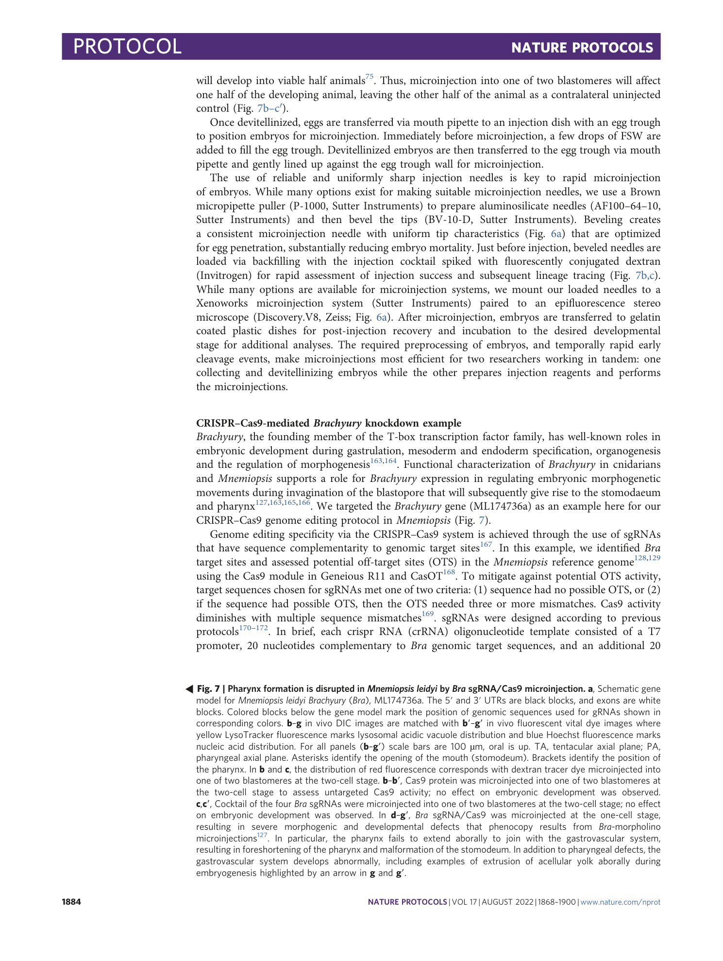 page-17