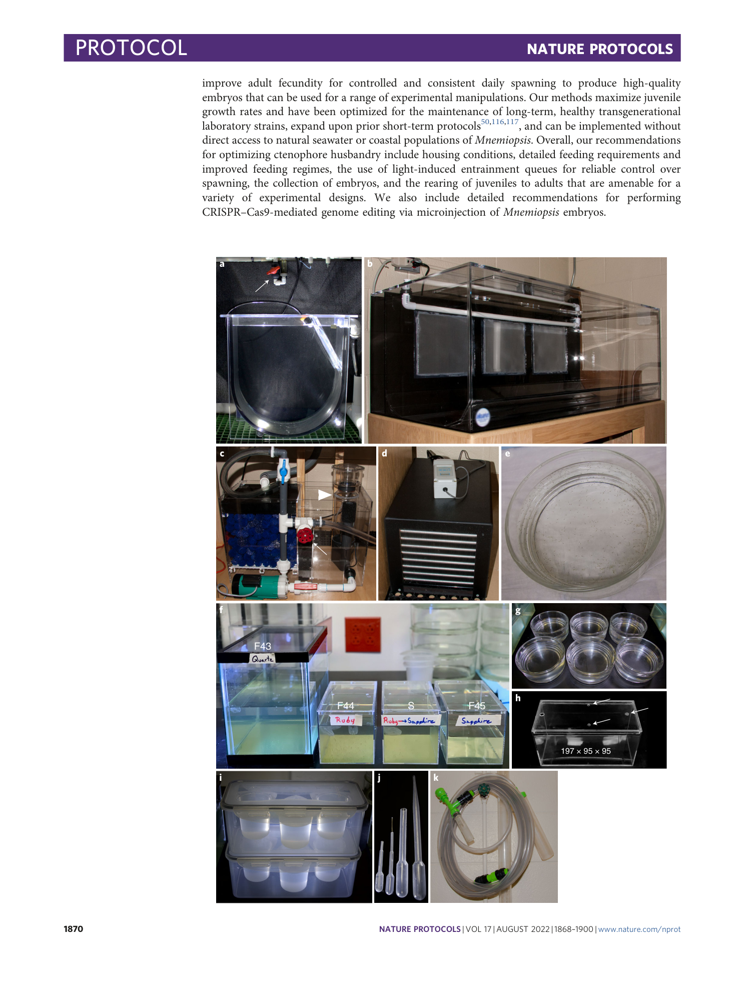 page-3