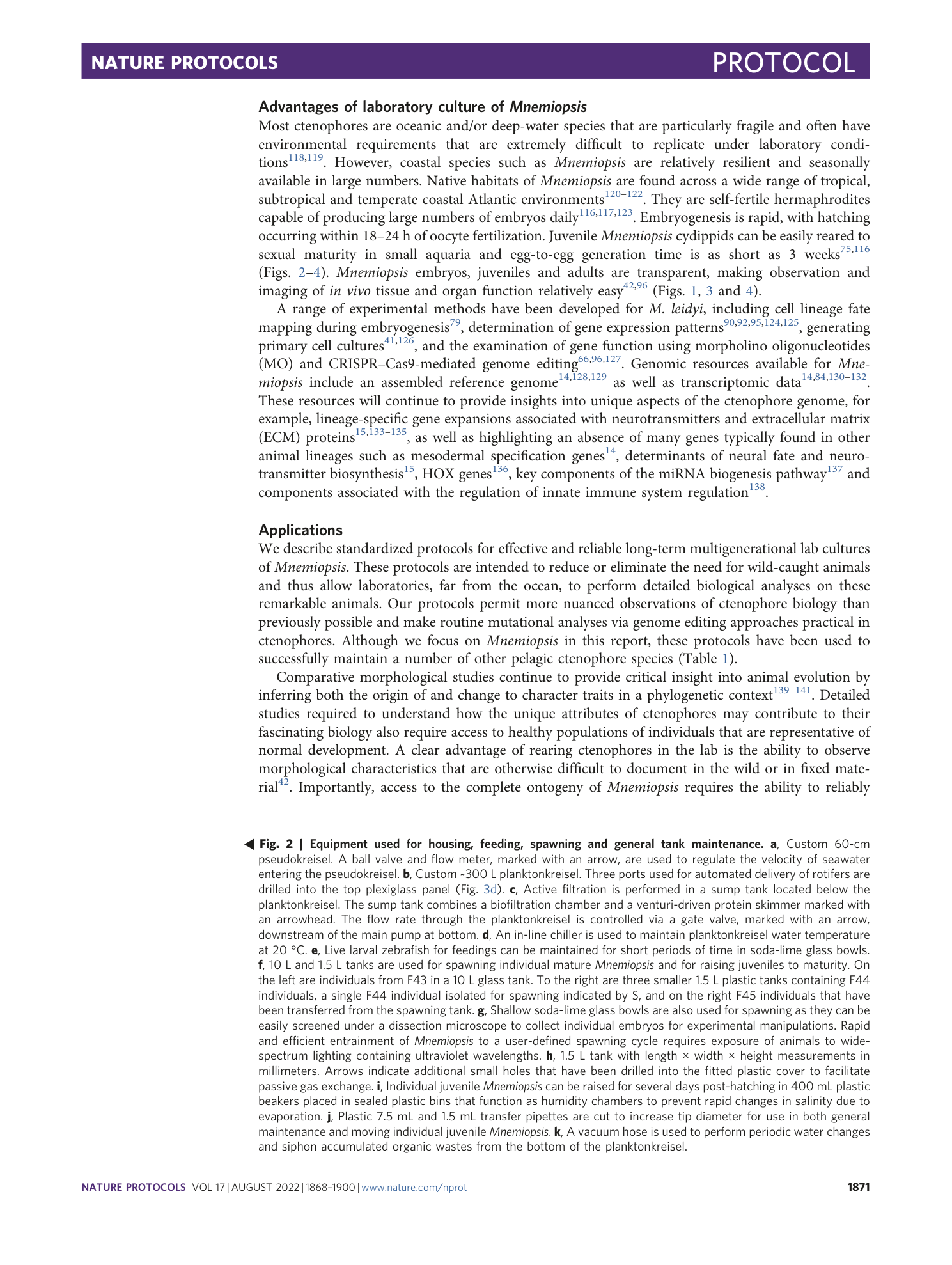 page-4