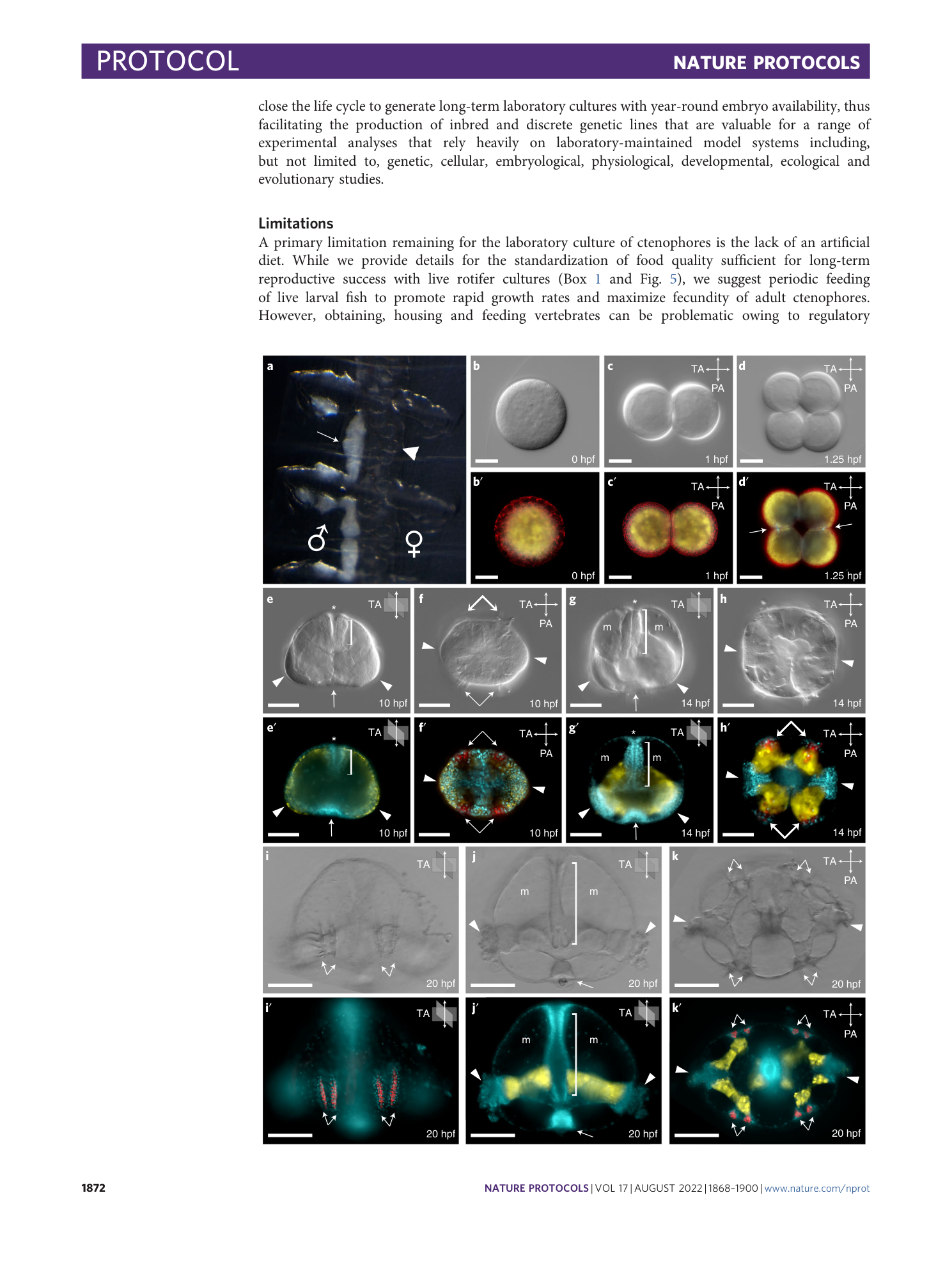 page-5