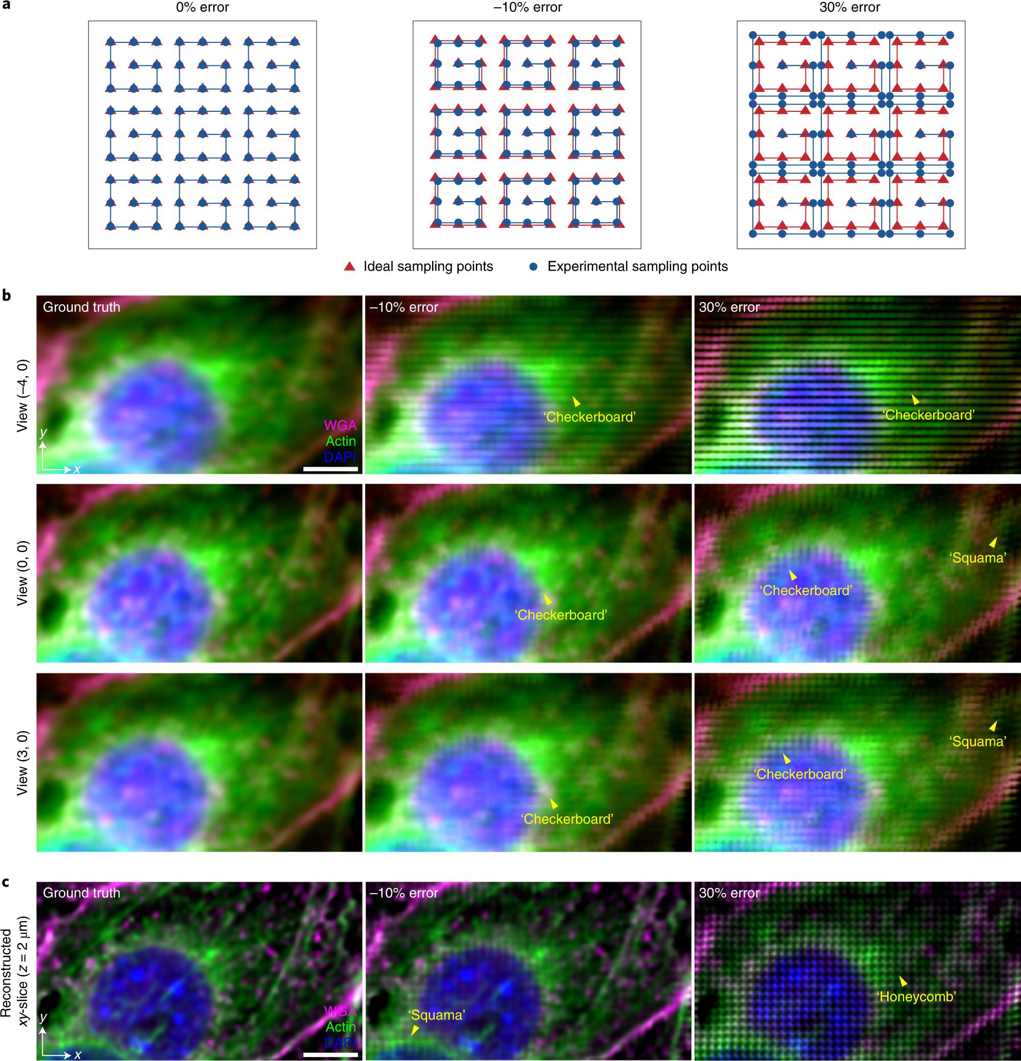 Fig. 7: The influence of inaccurate scanning amplitudes.