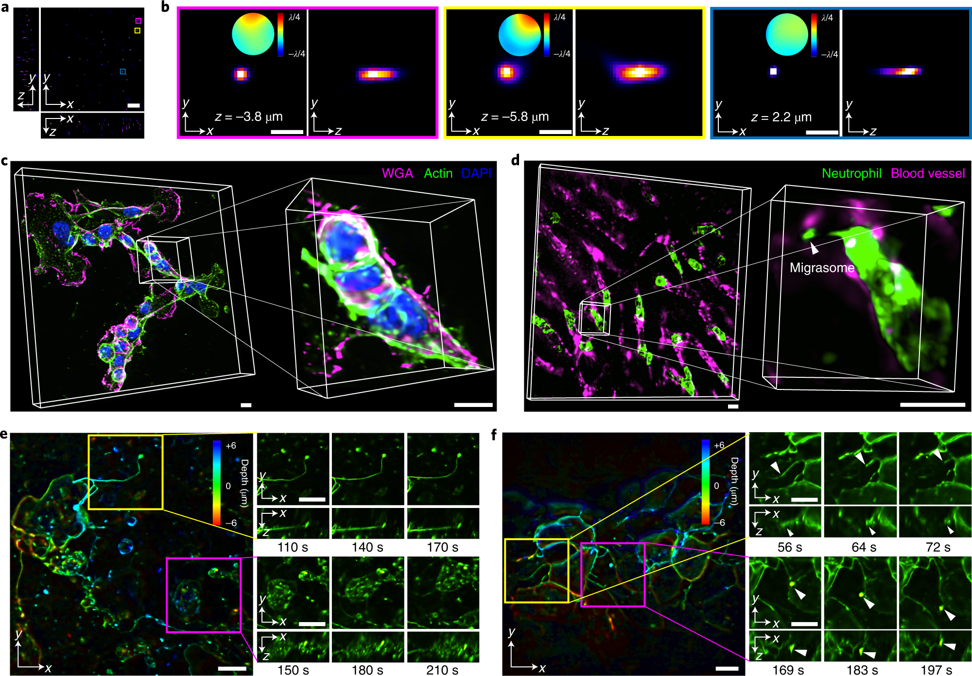 Fig. 8: Representative data from DAOSLIMIT experiments.