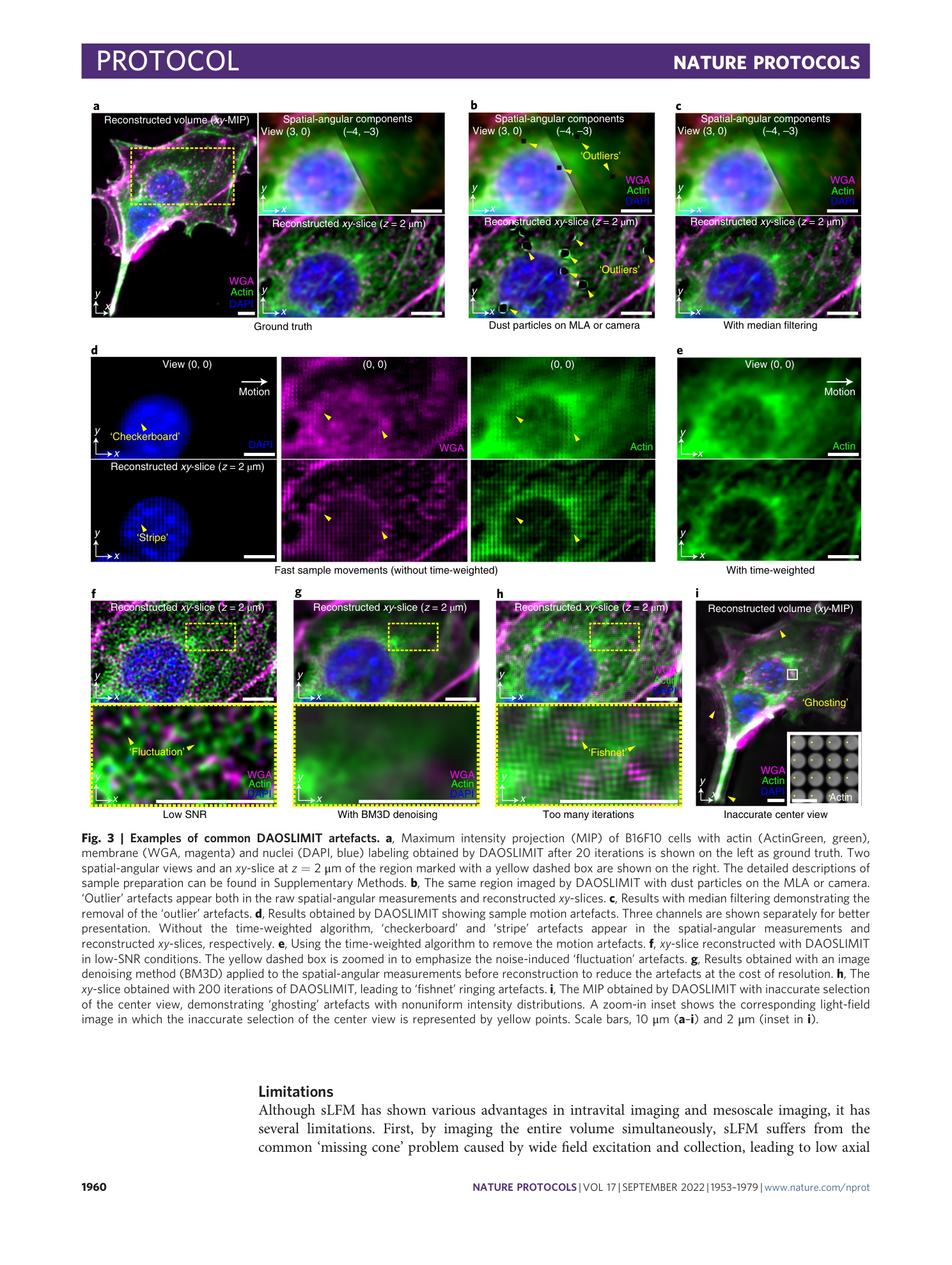 page-8