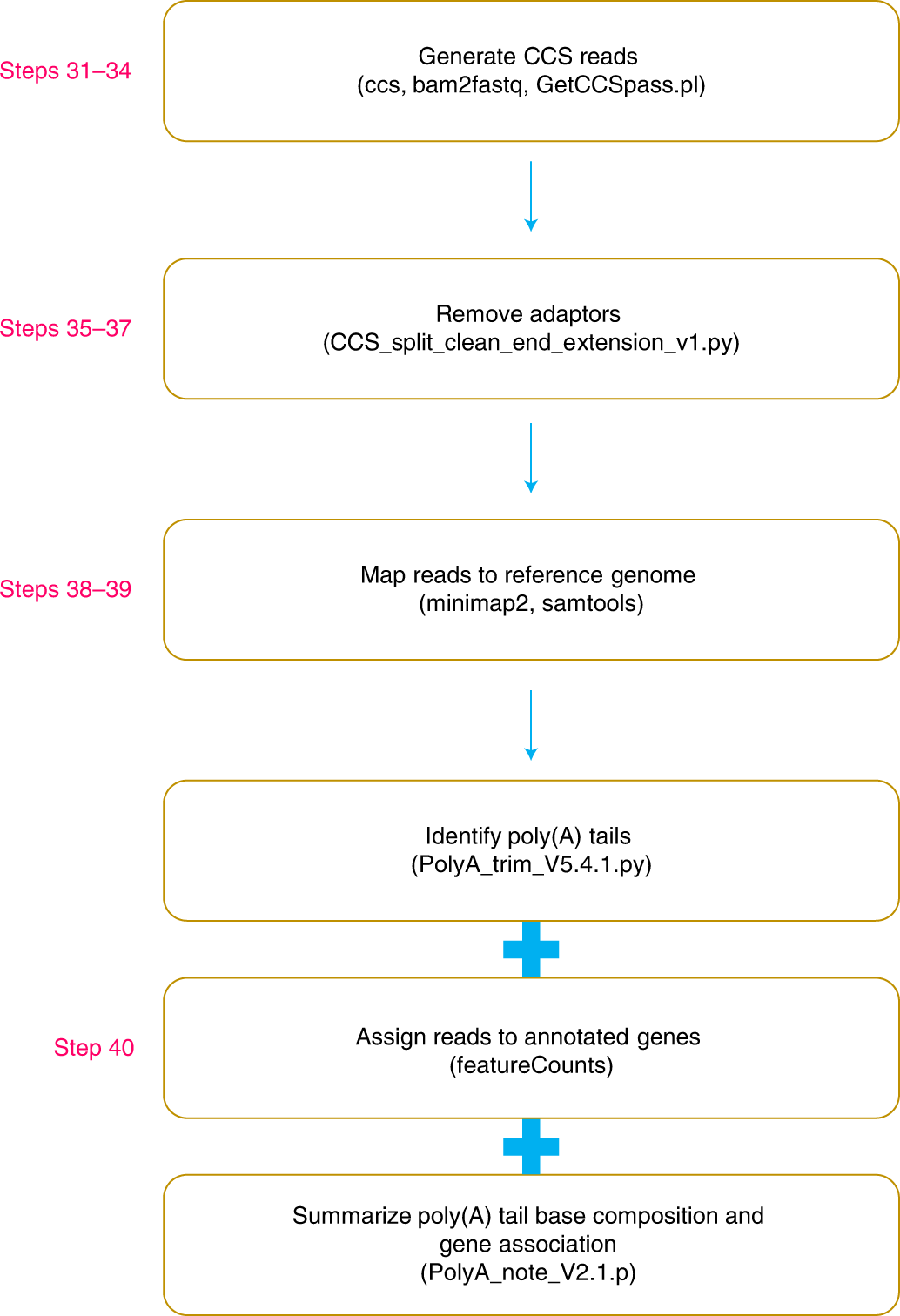 Fig. 2: Flowchart for the bioinformatic pipeline.