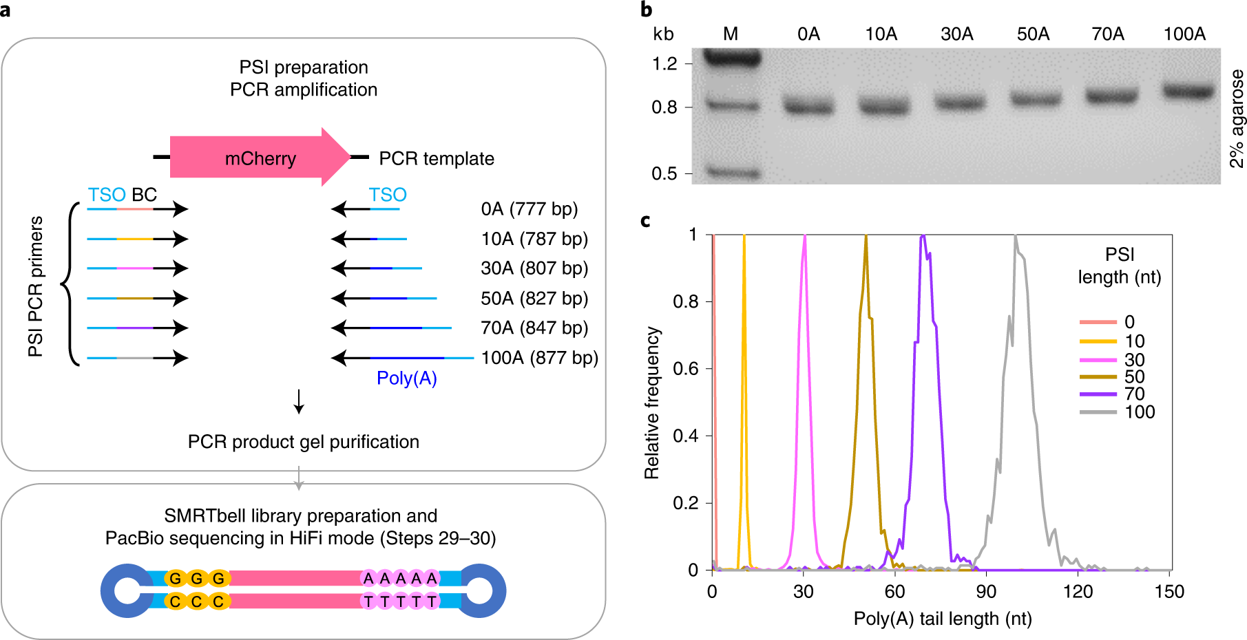 Fig. 4: Accurate measurement of poly(A) tail length validated by PSIs.