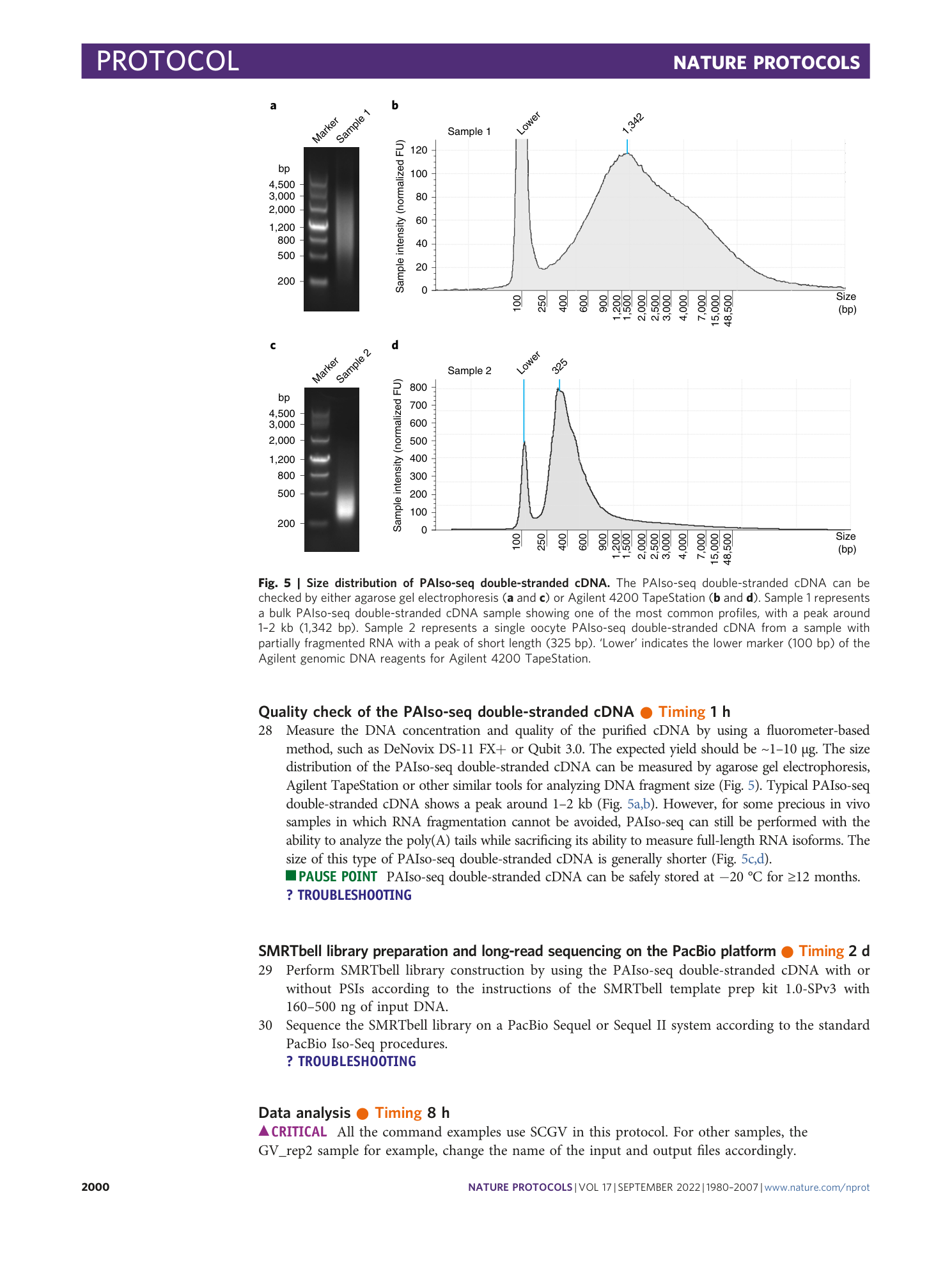 page-21