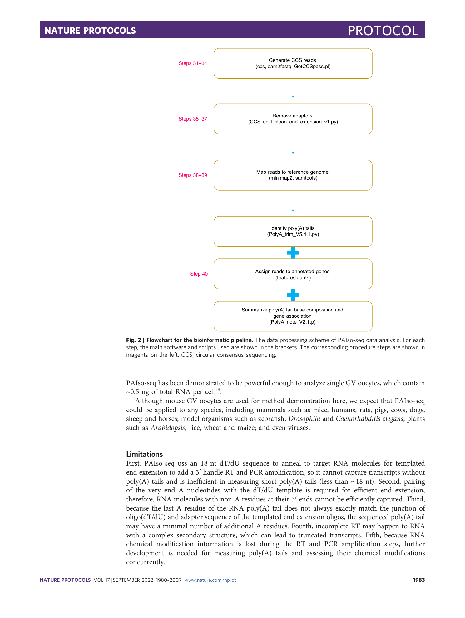 page-4