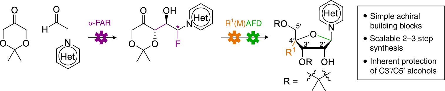 Fig. 1: Simple three-step synthesis of nucleoside analogs.