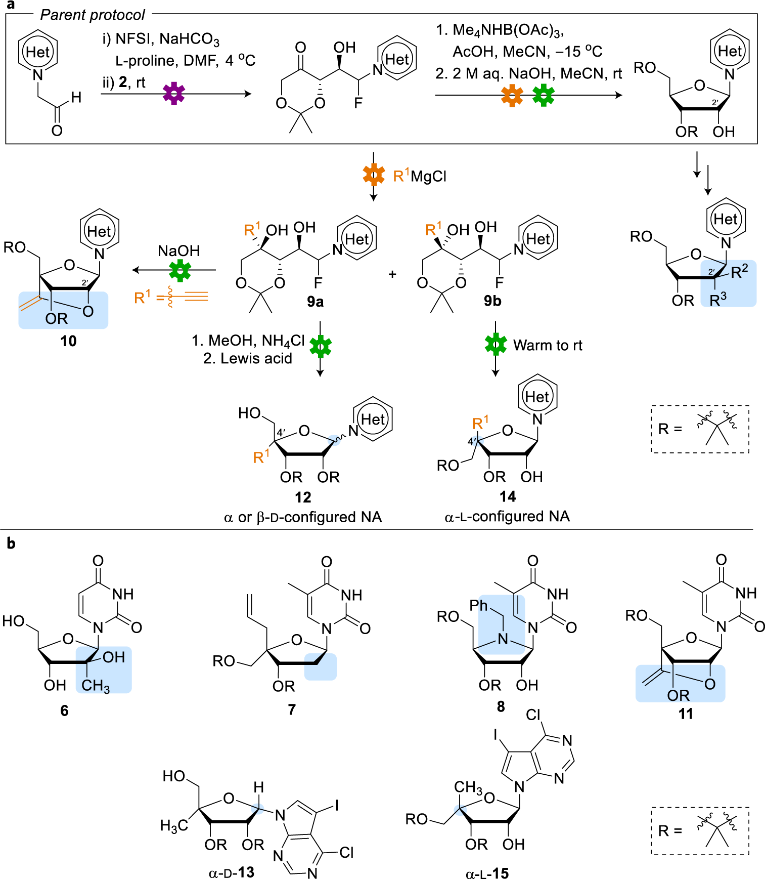 Fig. 3: Possible variations on the parent protocol for the synthesis of NAs.