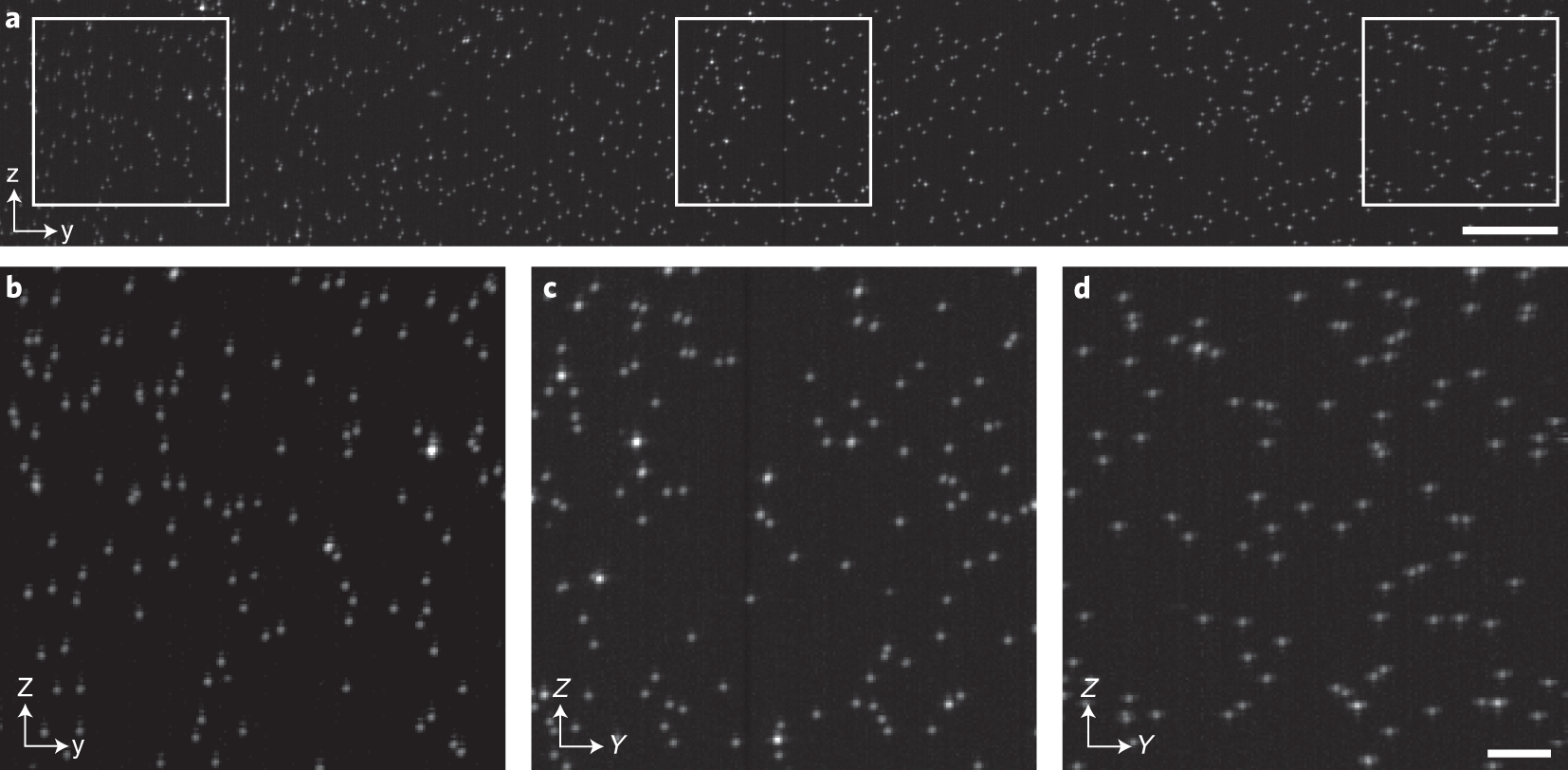 Fig. 10: ASLM imaging of fluorescent nanospheres embedded in agarose.