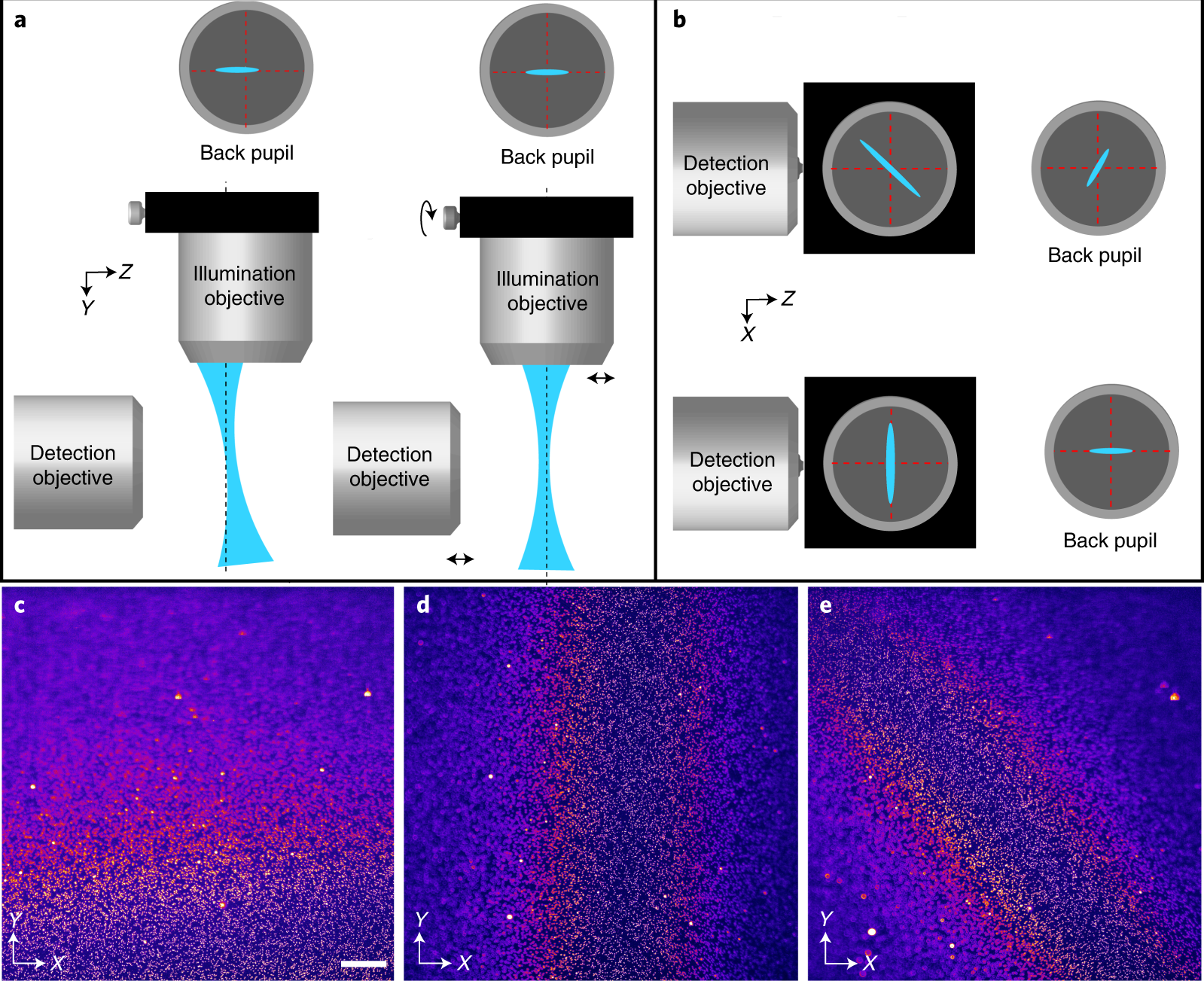 Fig. 11: Fine alignment of the light sheet.