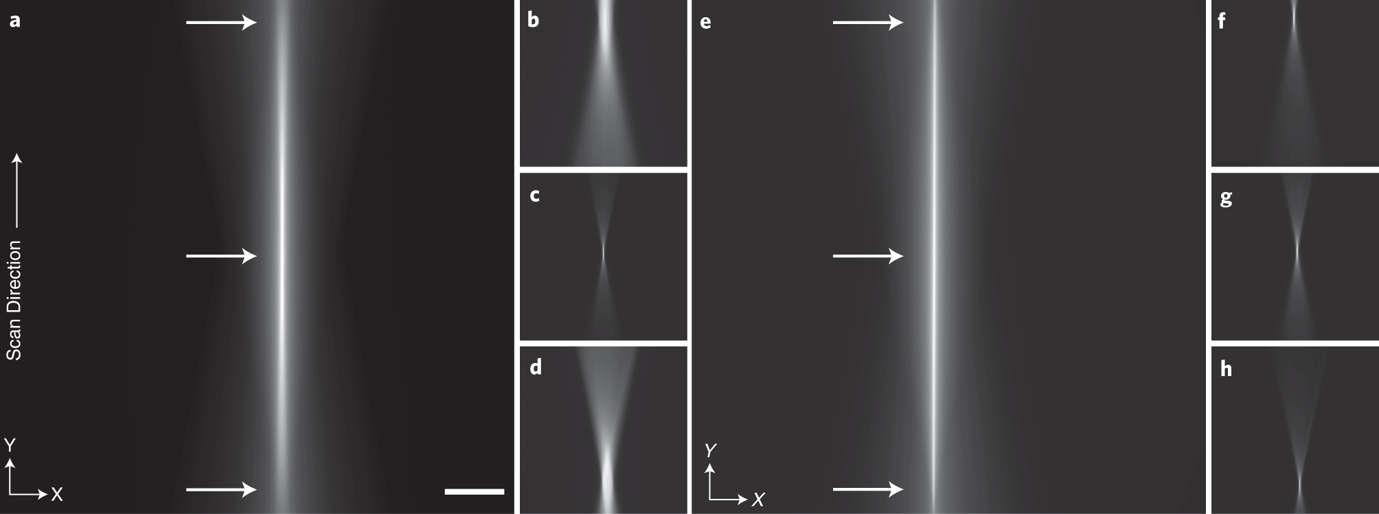 Fig. 8: Fine alignment of the ASLM scan.