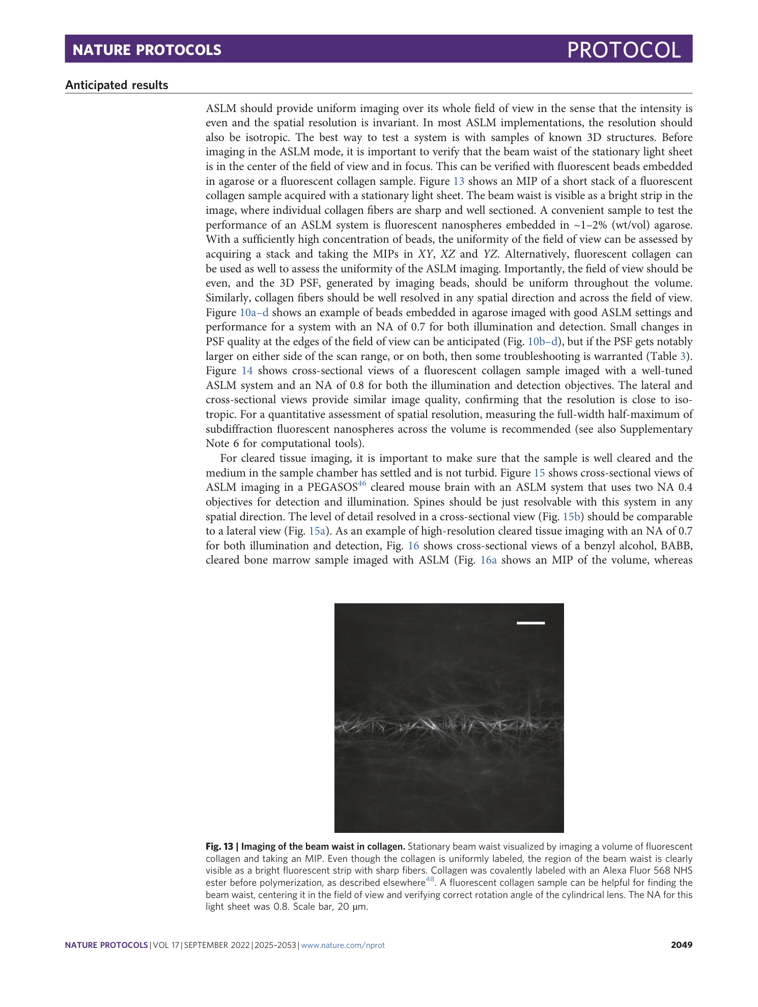 page-25