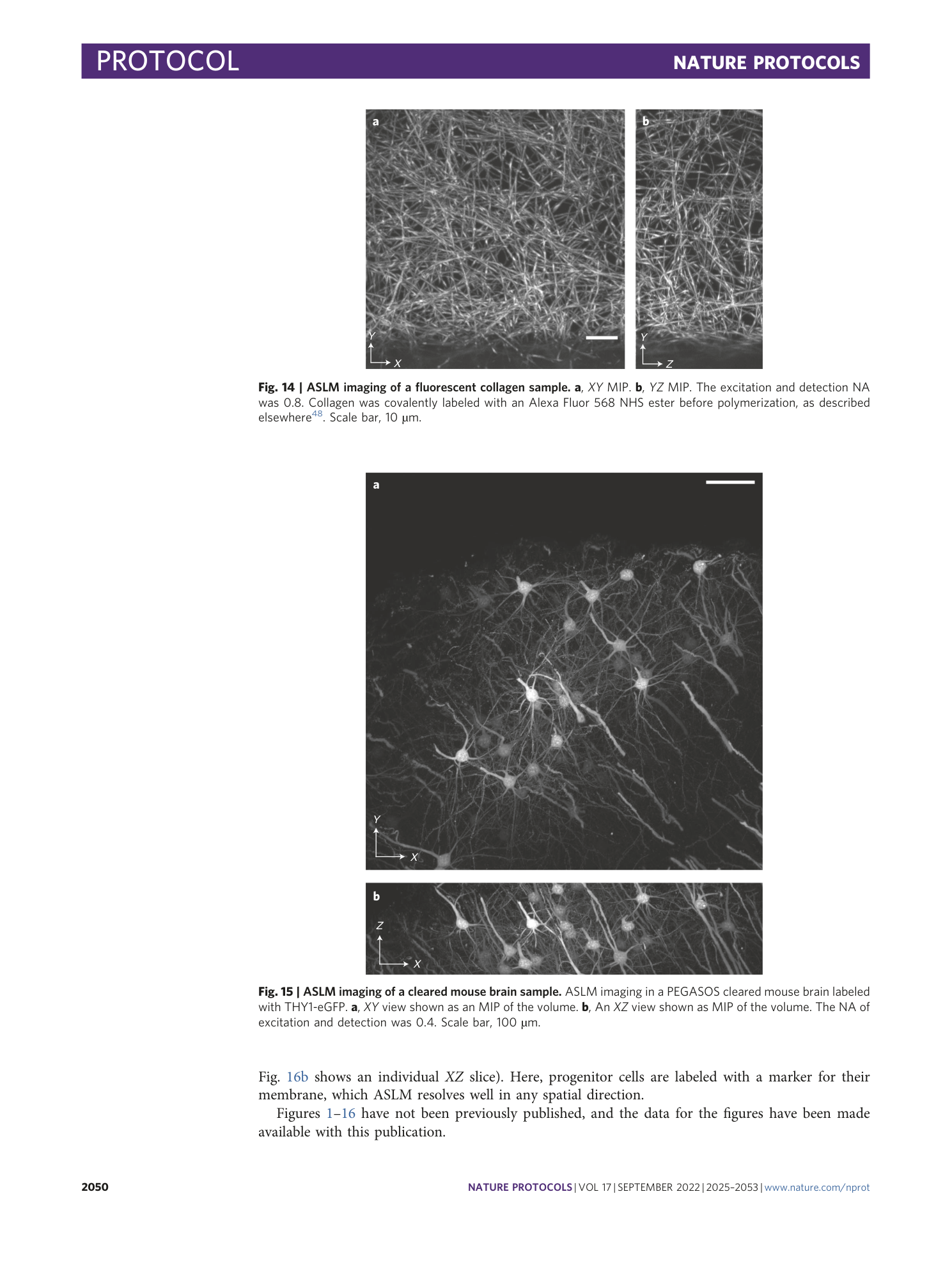 page-26