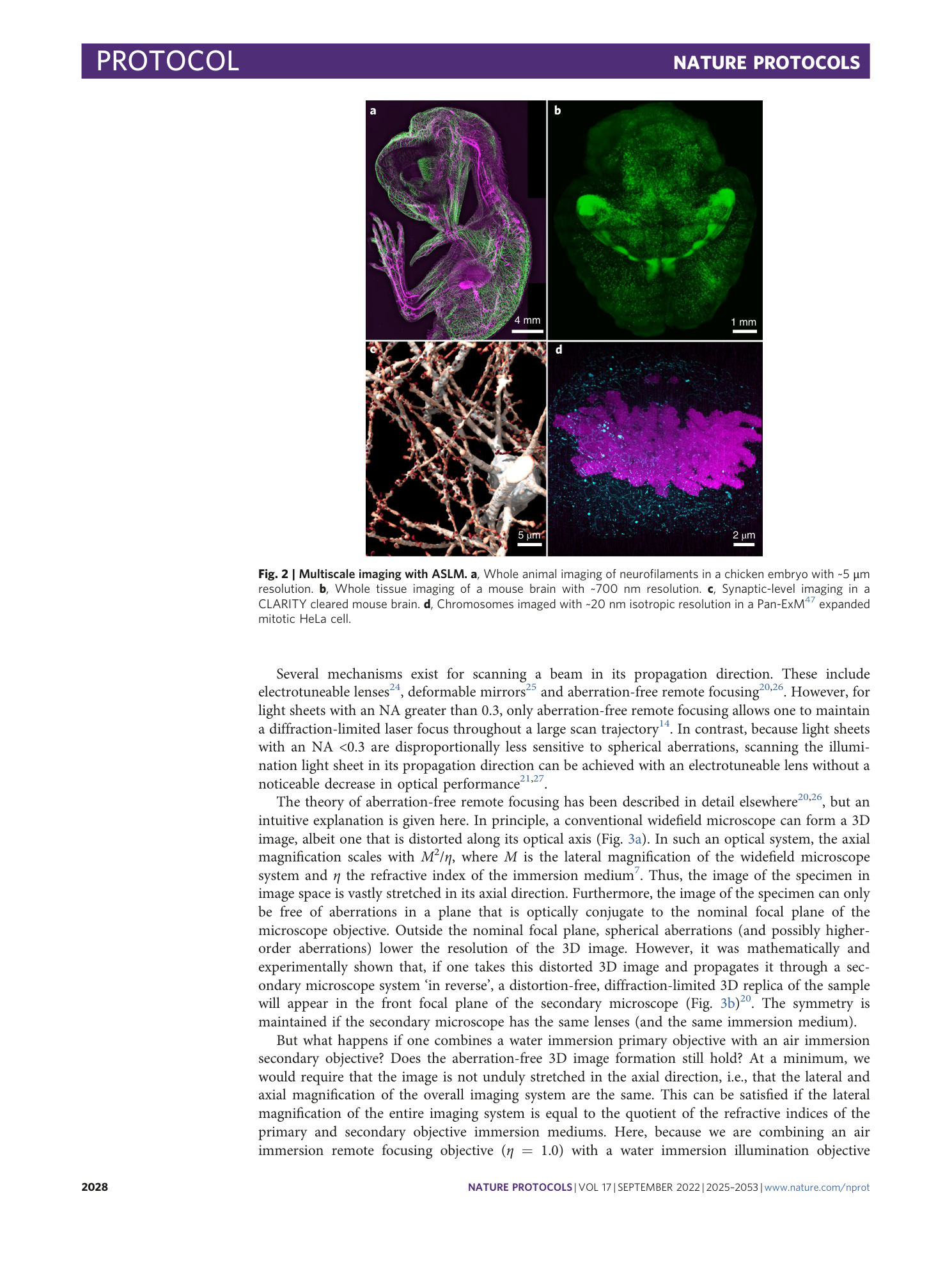page-4