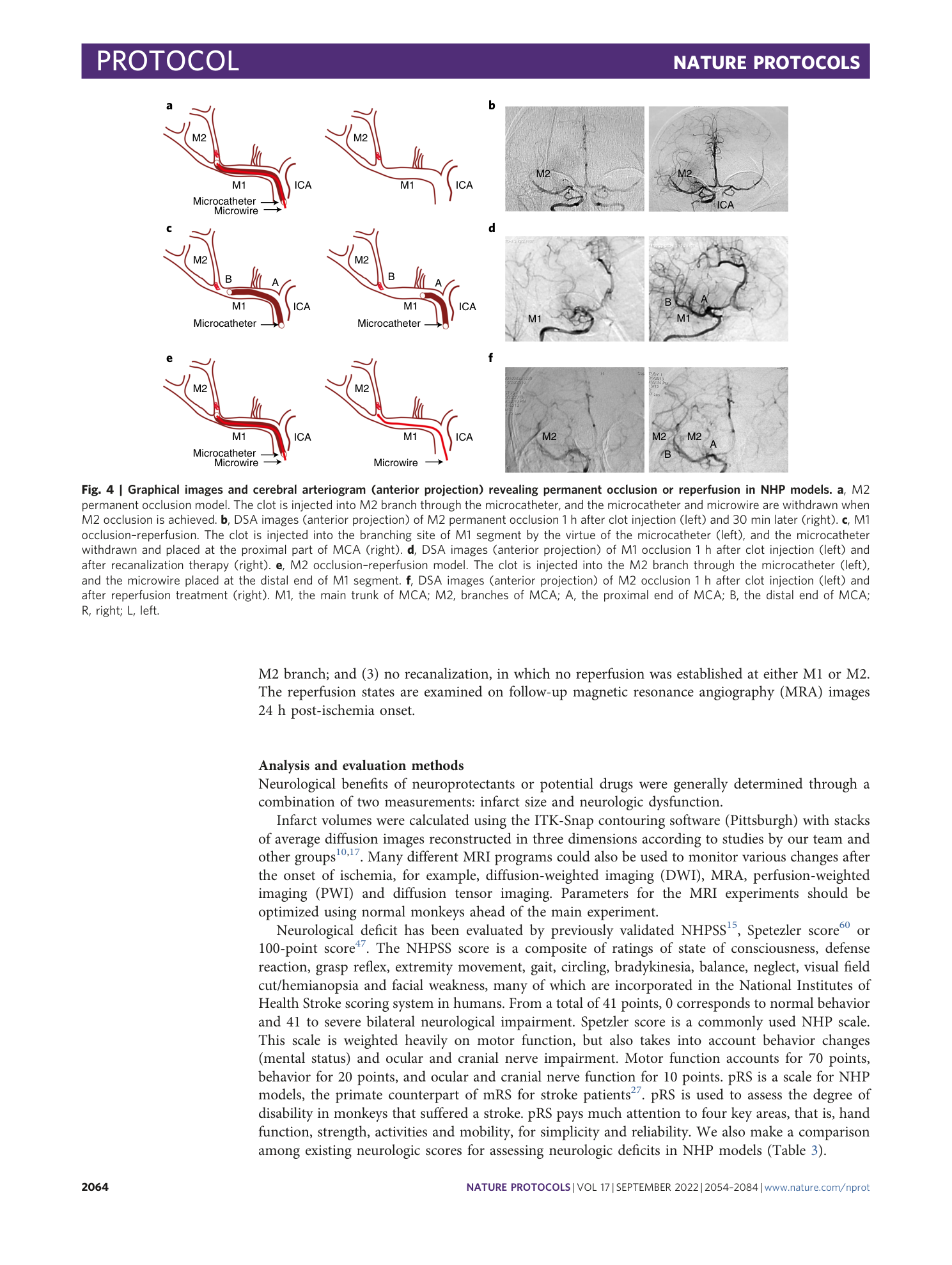 page-11