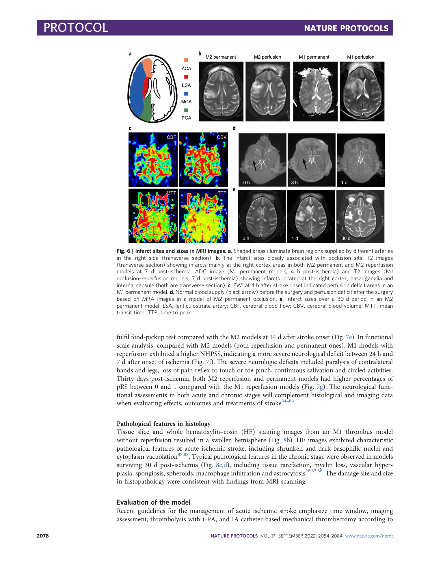 page-25