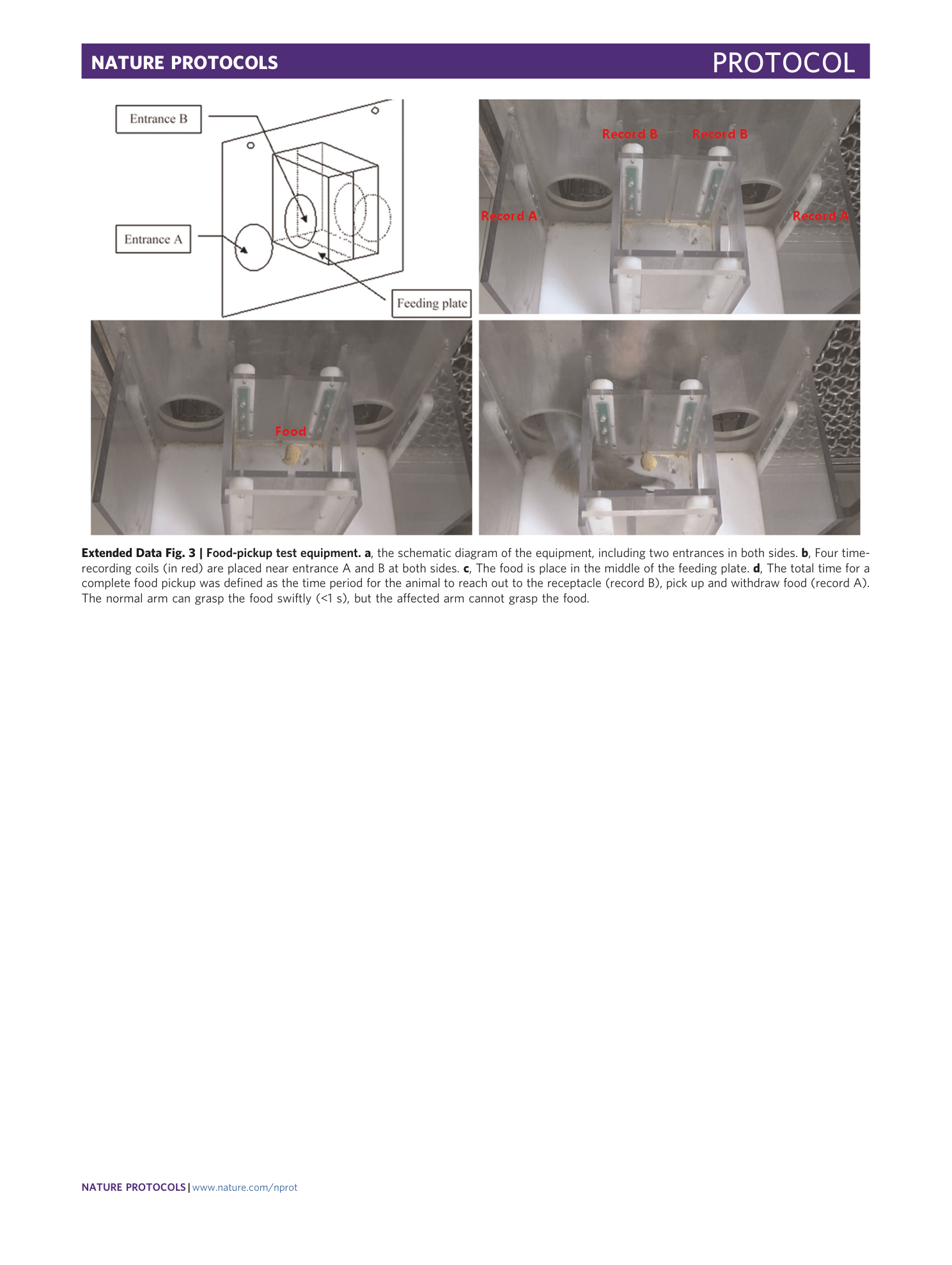 page-34