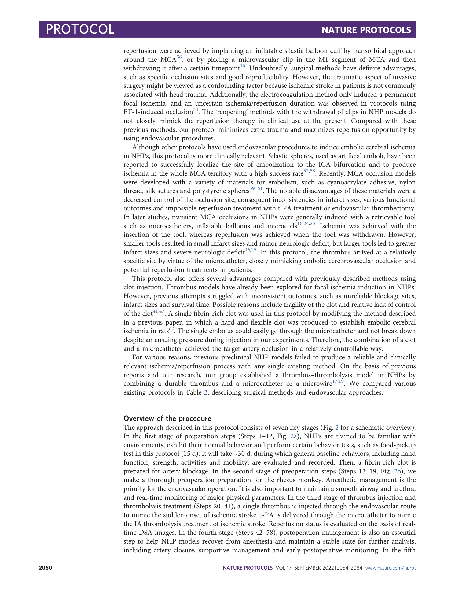 page-7