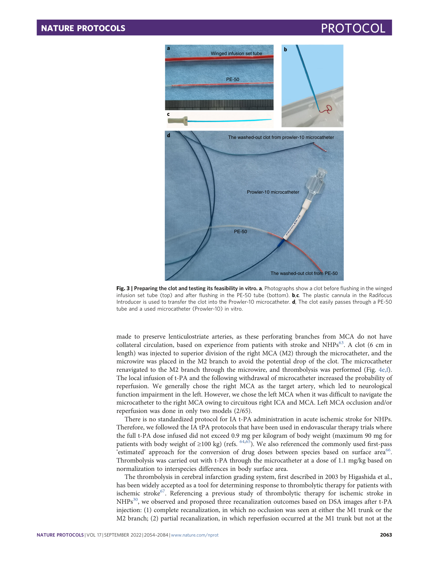 page-10