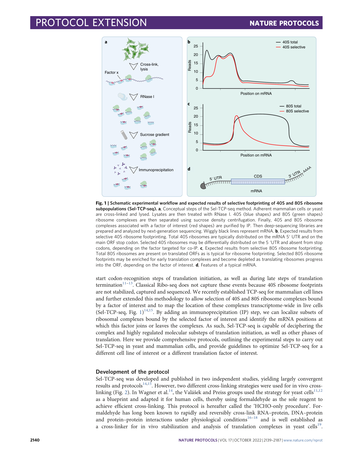 page-2