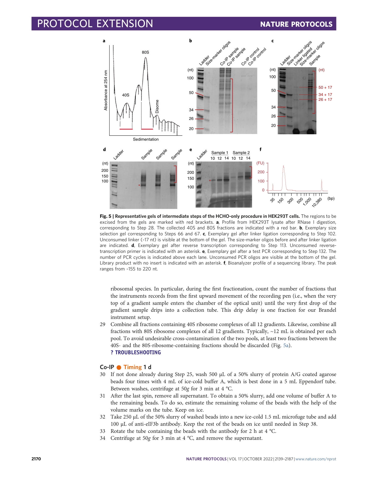 page-32