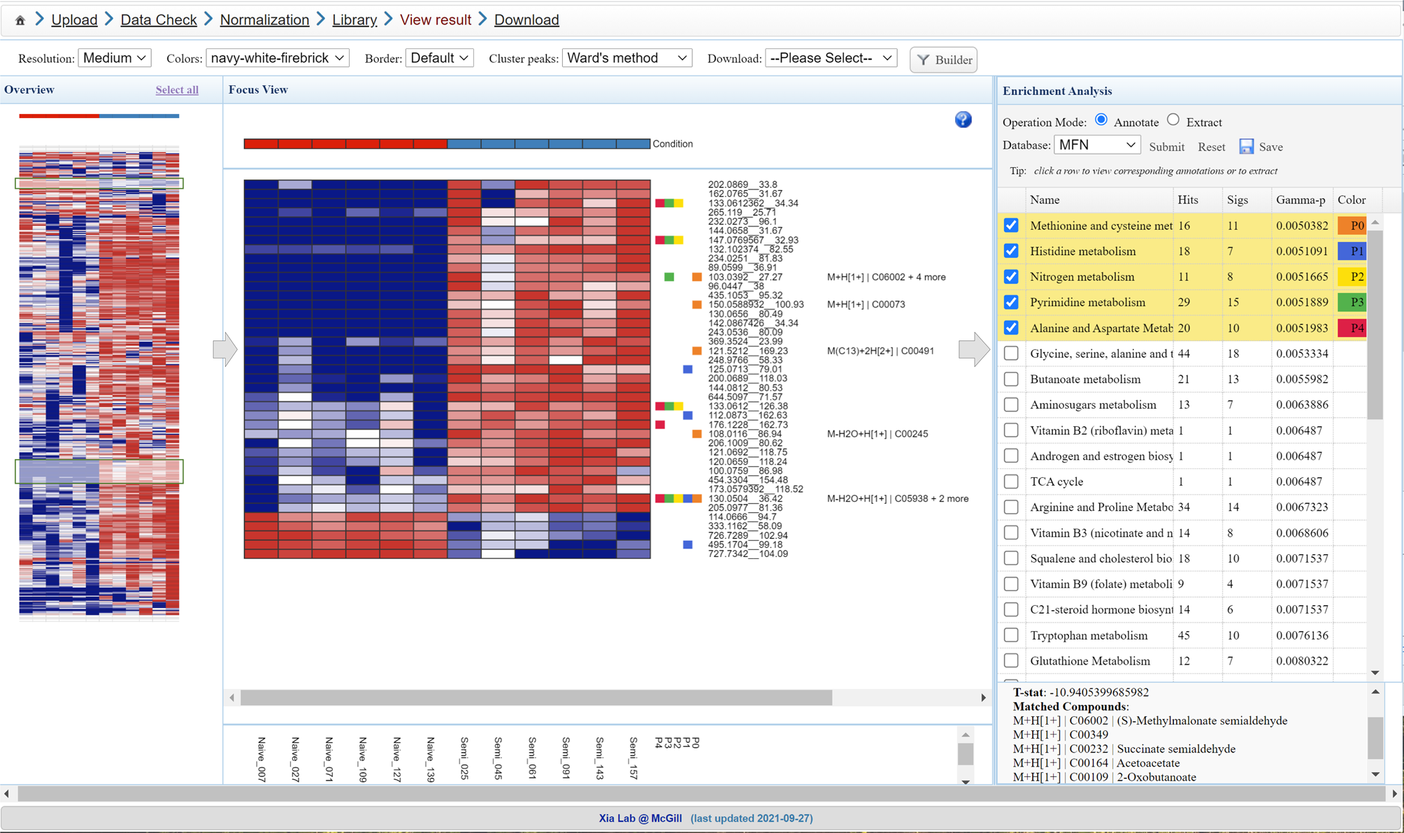 Fig. 5: Functional analysis of manually selected metabolic patterns.