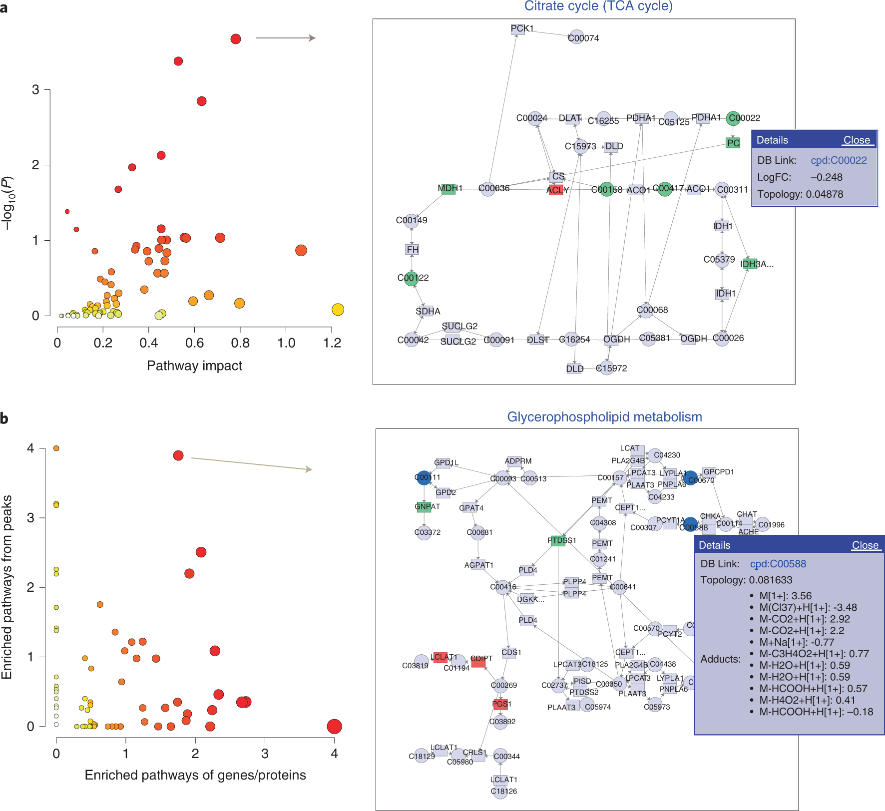 Fig. 6: Results of joint-pathway analysis.