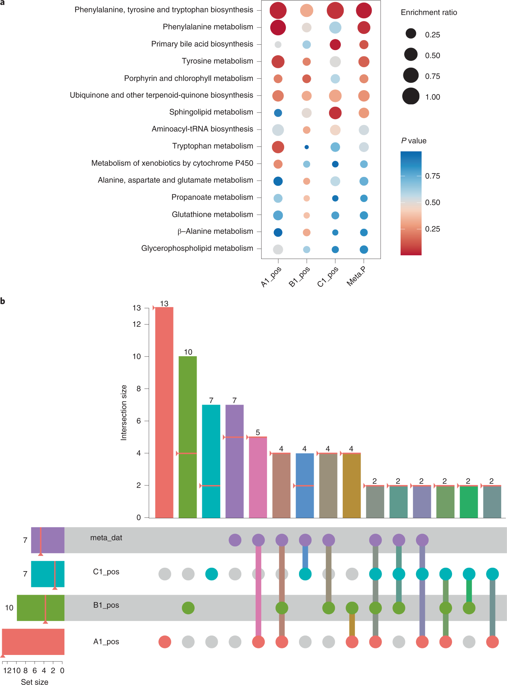 Fig. 7: Graphical results of functional meta-analysis.