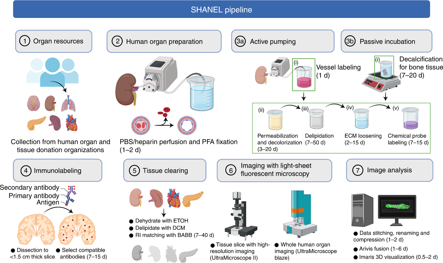 Fig. 1: Overview of SHANEL pipeline.