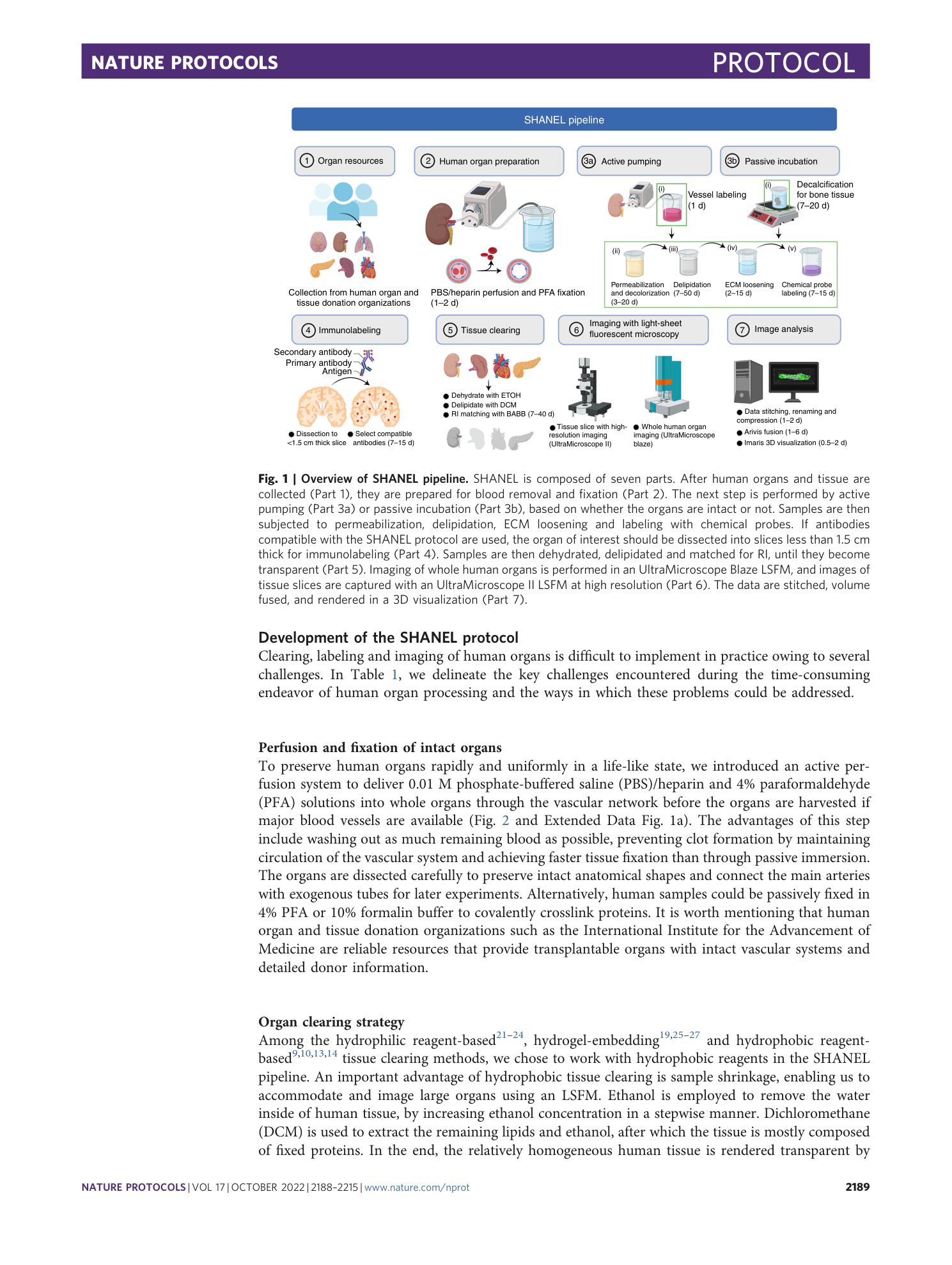 page-2