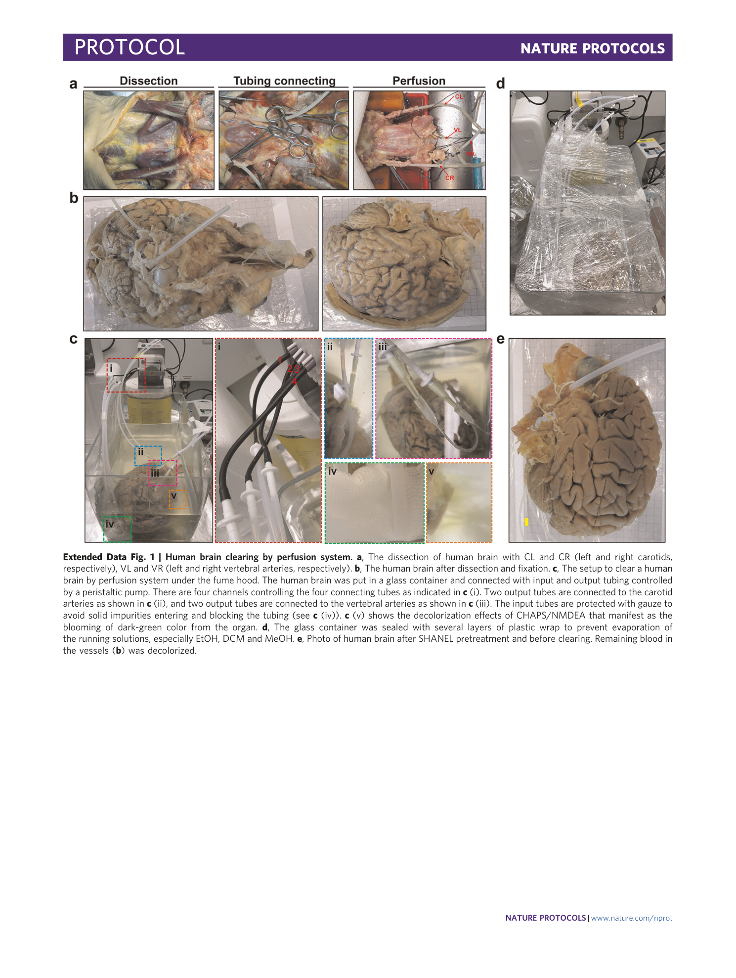 page-29