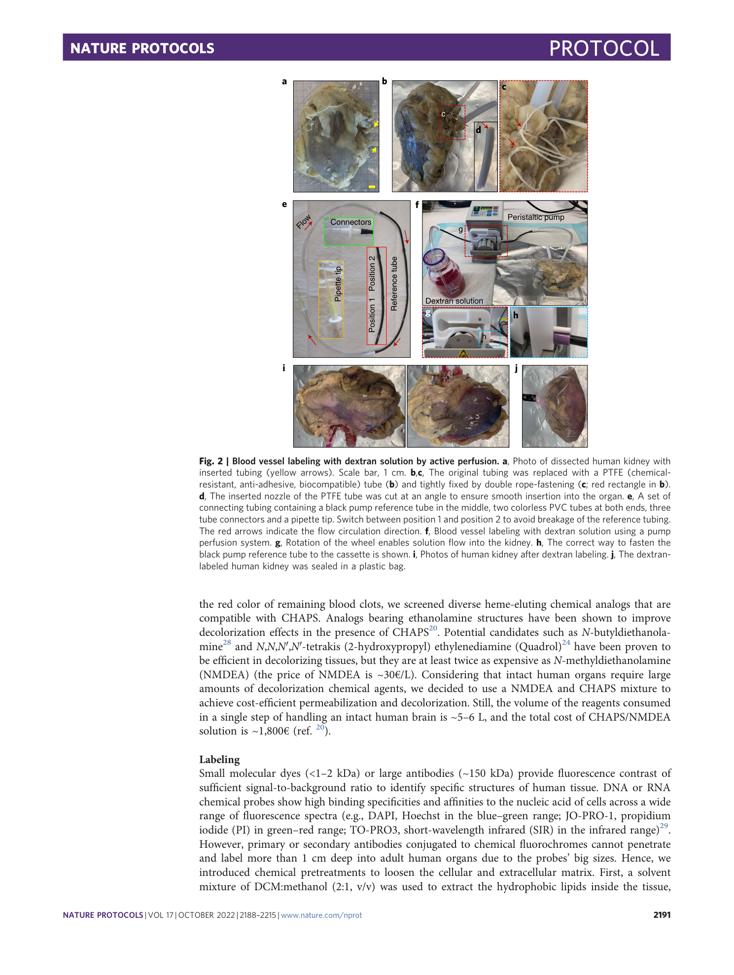 page-4