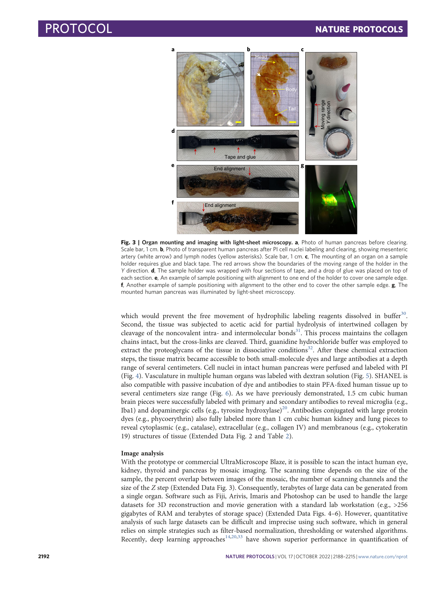 page-5